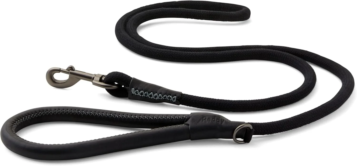 Reddy Black Dog Leash