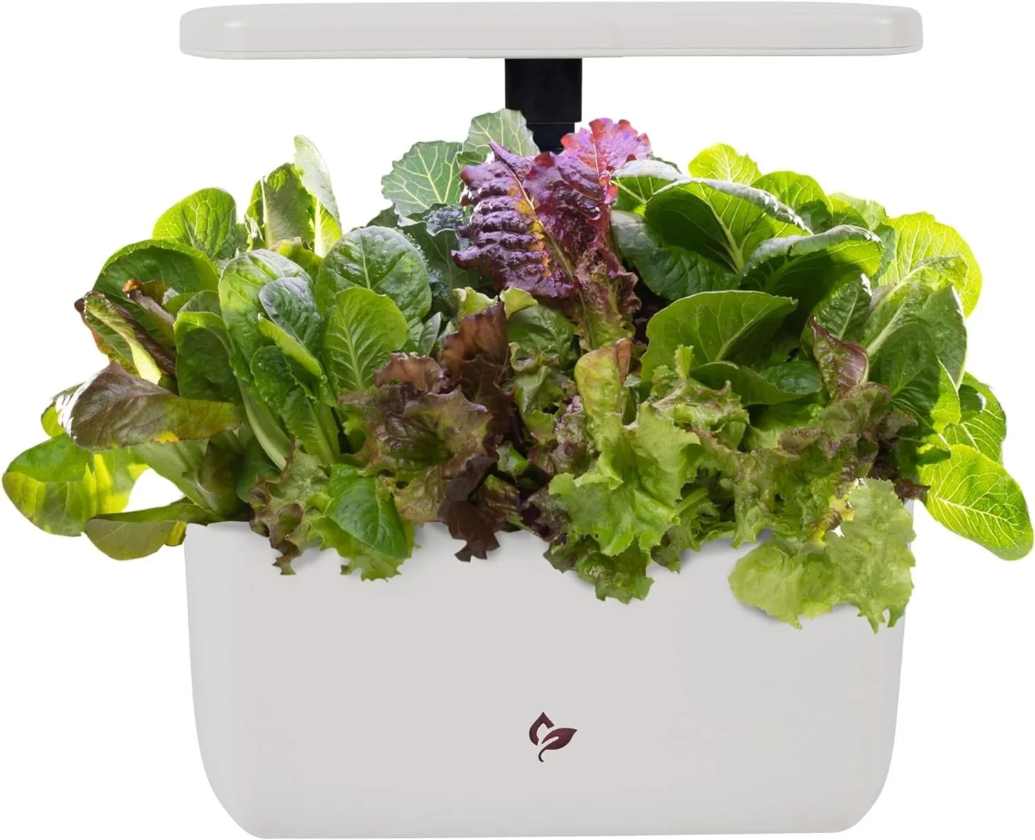 AeroGarden Harvest 2.0, Indoor Garden