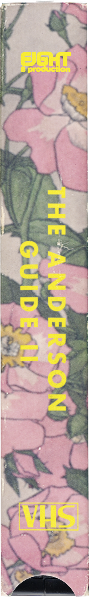 The Wes Anderson Guide To Surviving the Pandemic 2 cover