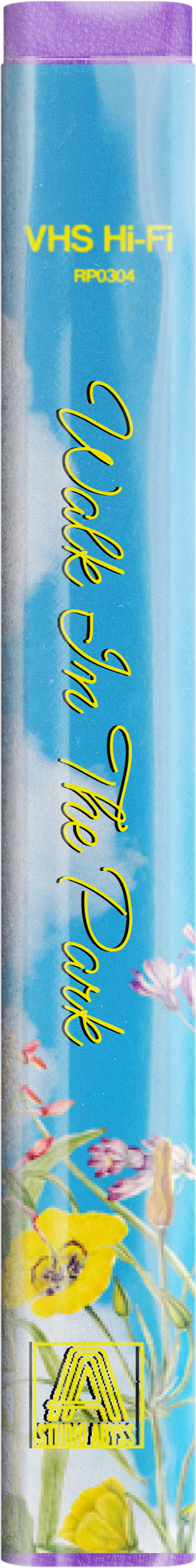 A vintage VHS tape labeled "Walk in The Park" with a sky and flower design on the cover.
