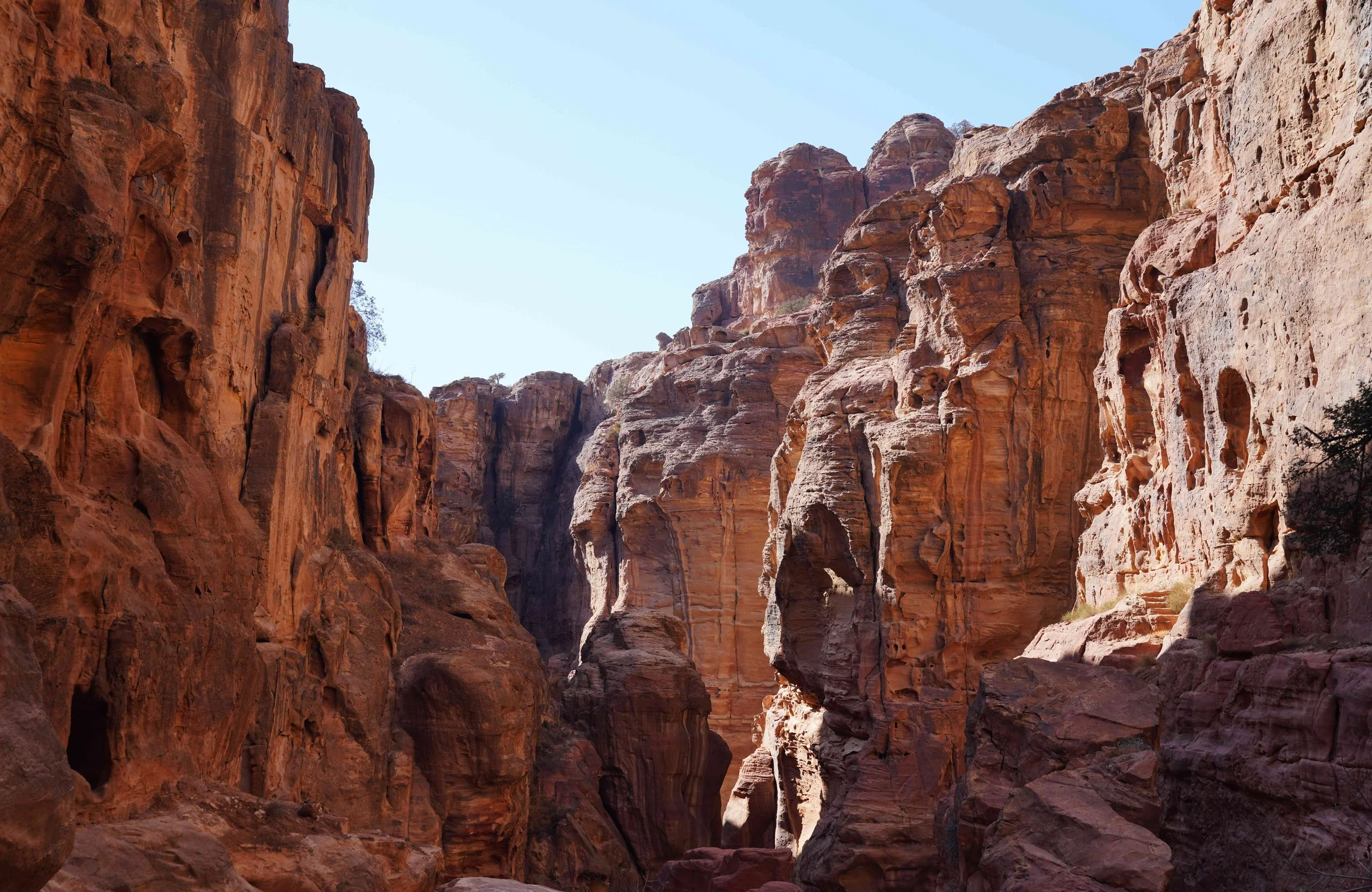 Petra