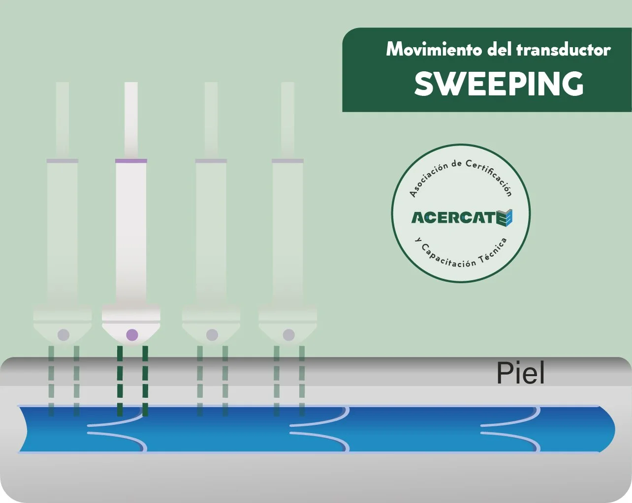 generico_transducer_verdesweeping.jpg