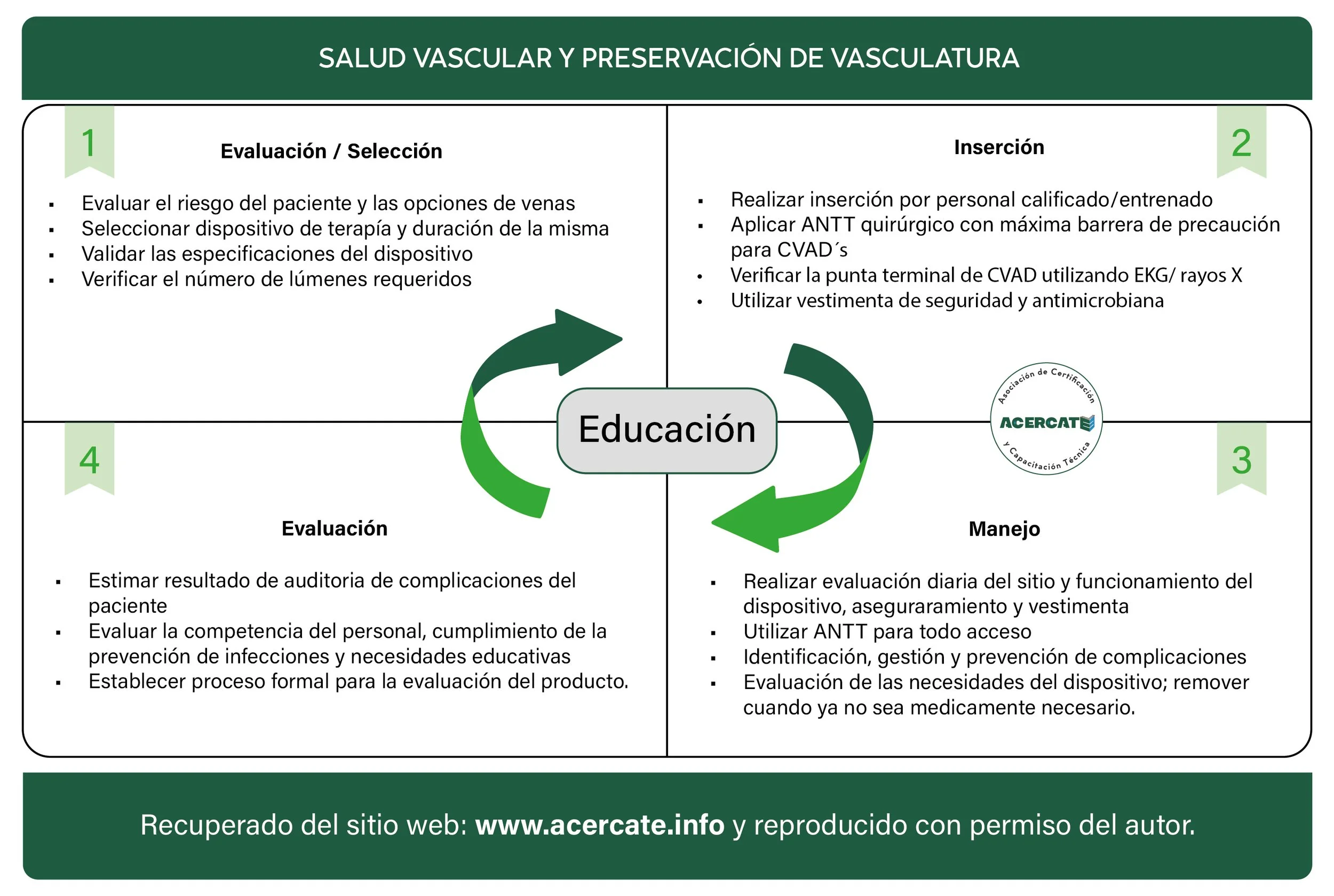 generico_ciclosaludvascular_Mesa de trabajo 1.jpg