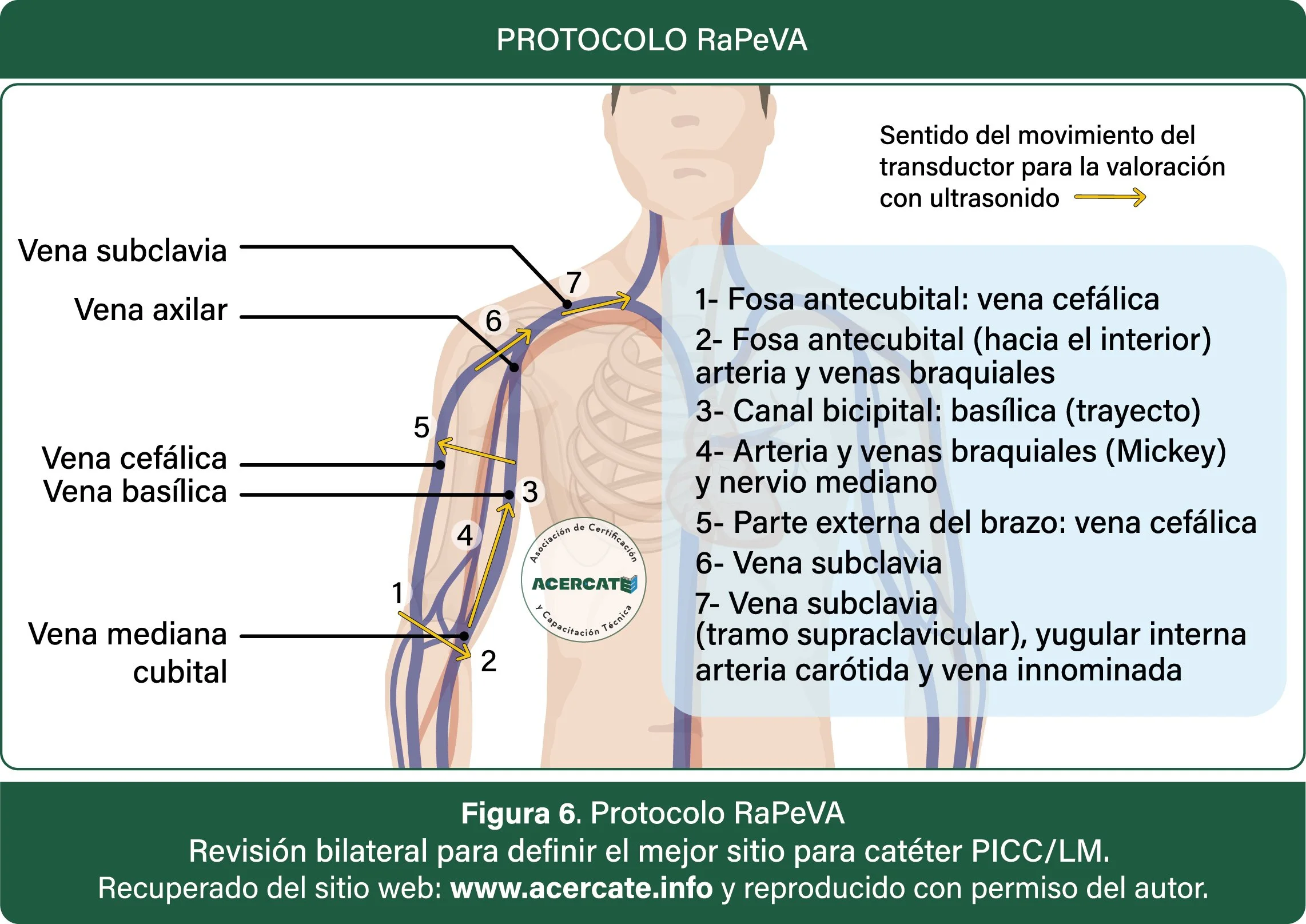 protocolo_rapeva.jpg