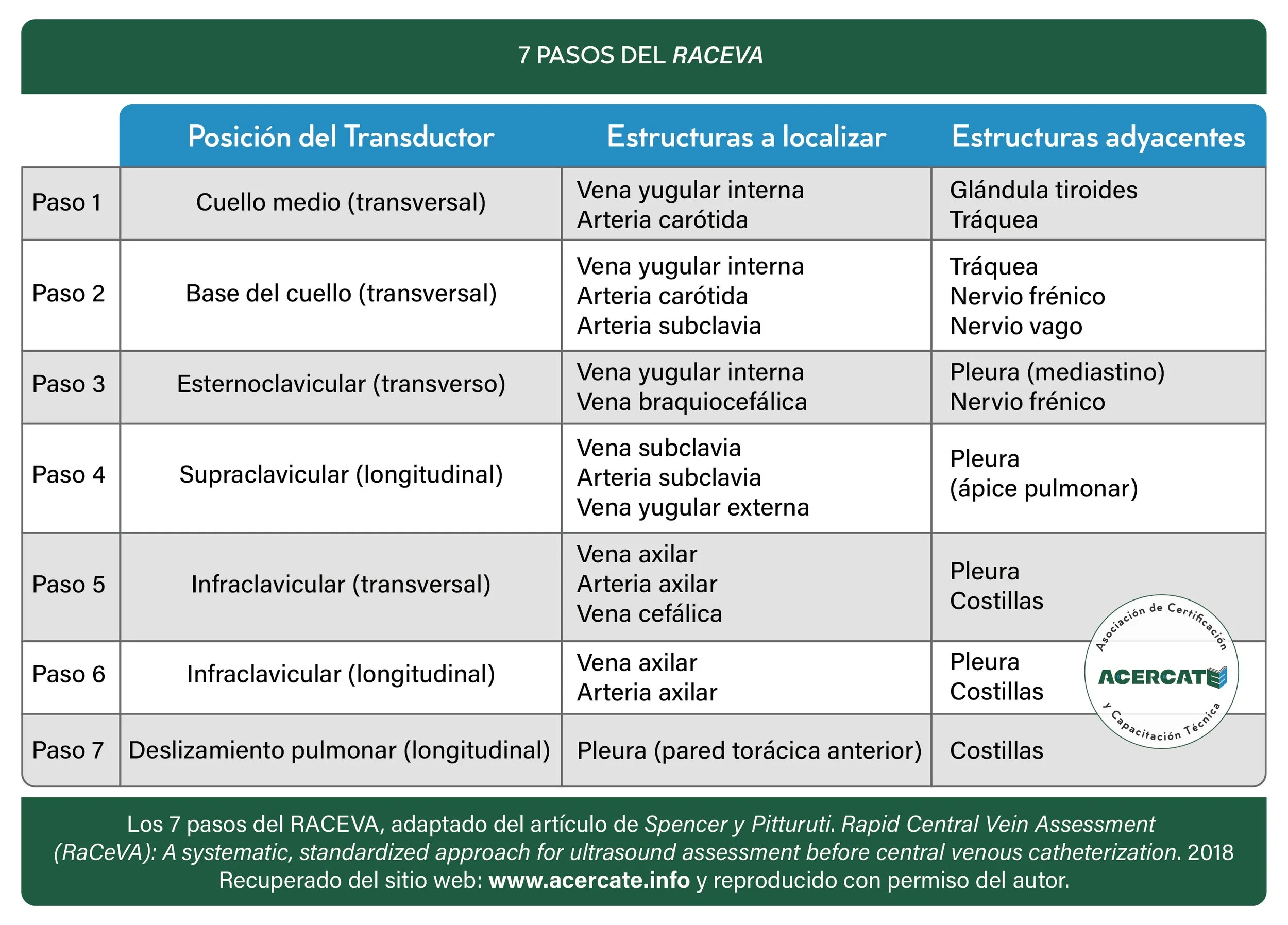 generico_7pasosraceva_Mesa de trabajo 1.jpg