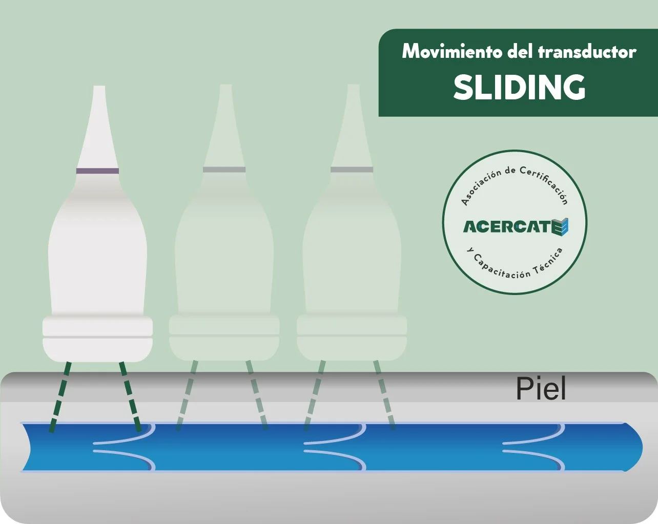 genrico_transducer_verdesliding.jpg