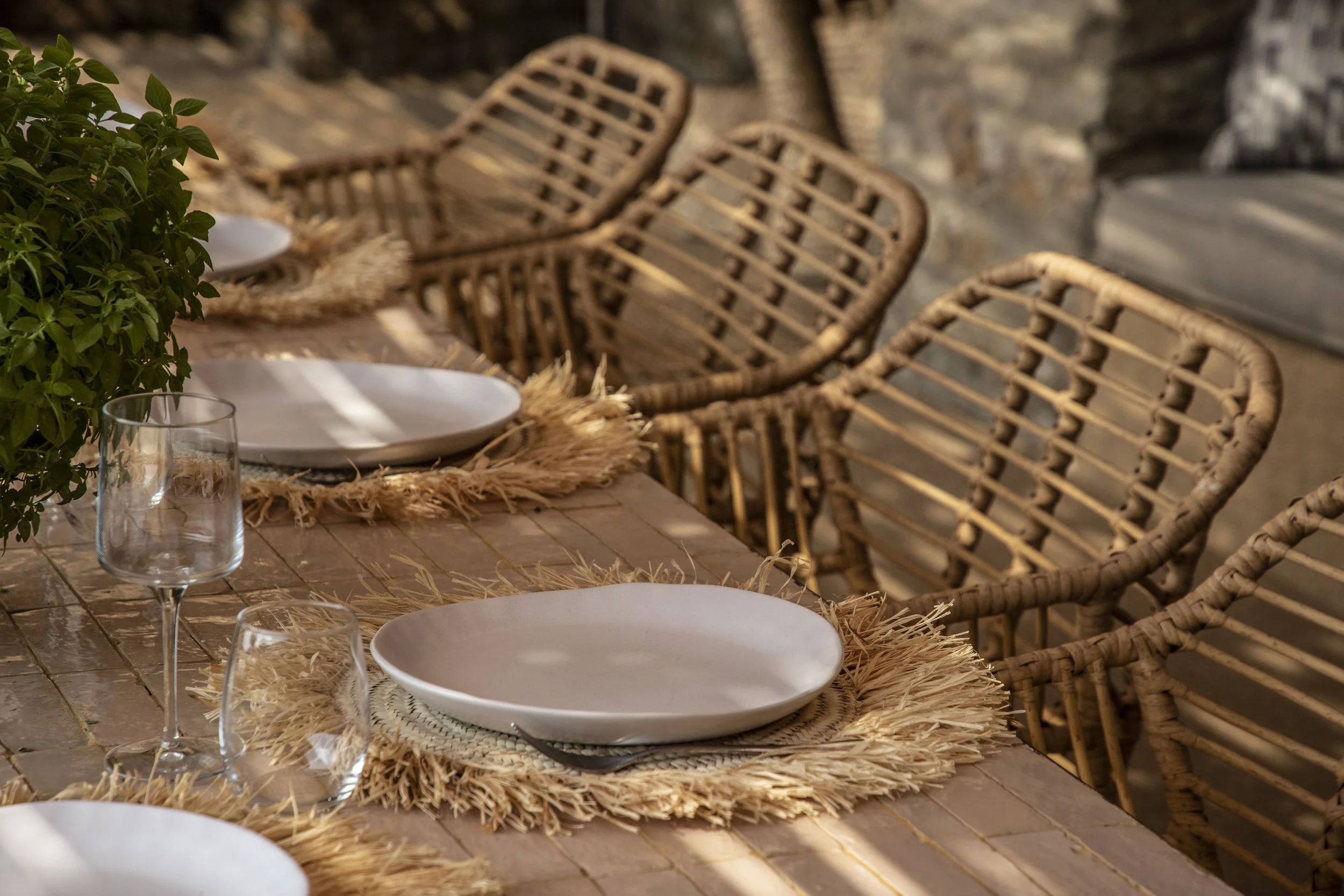 Copie de IMG_8776.jpg