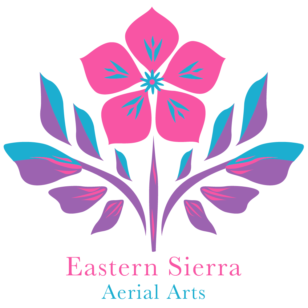 Eastern Sierra Aerial Arts