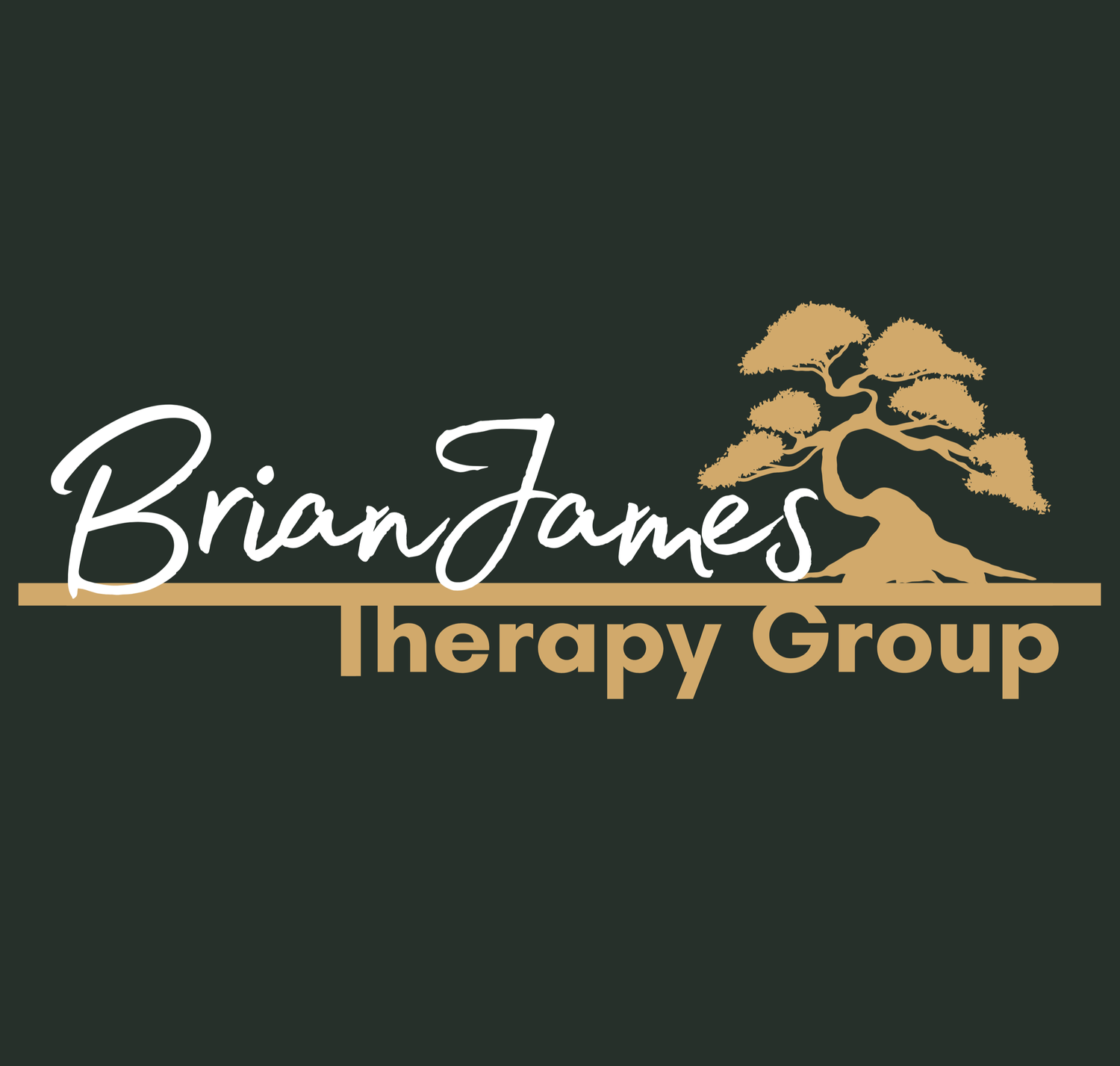 BrianJames Therapy Group