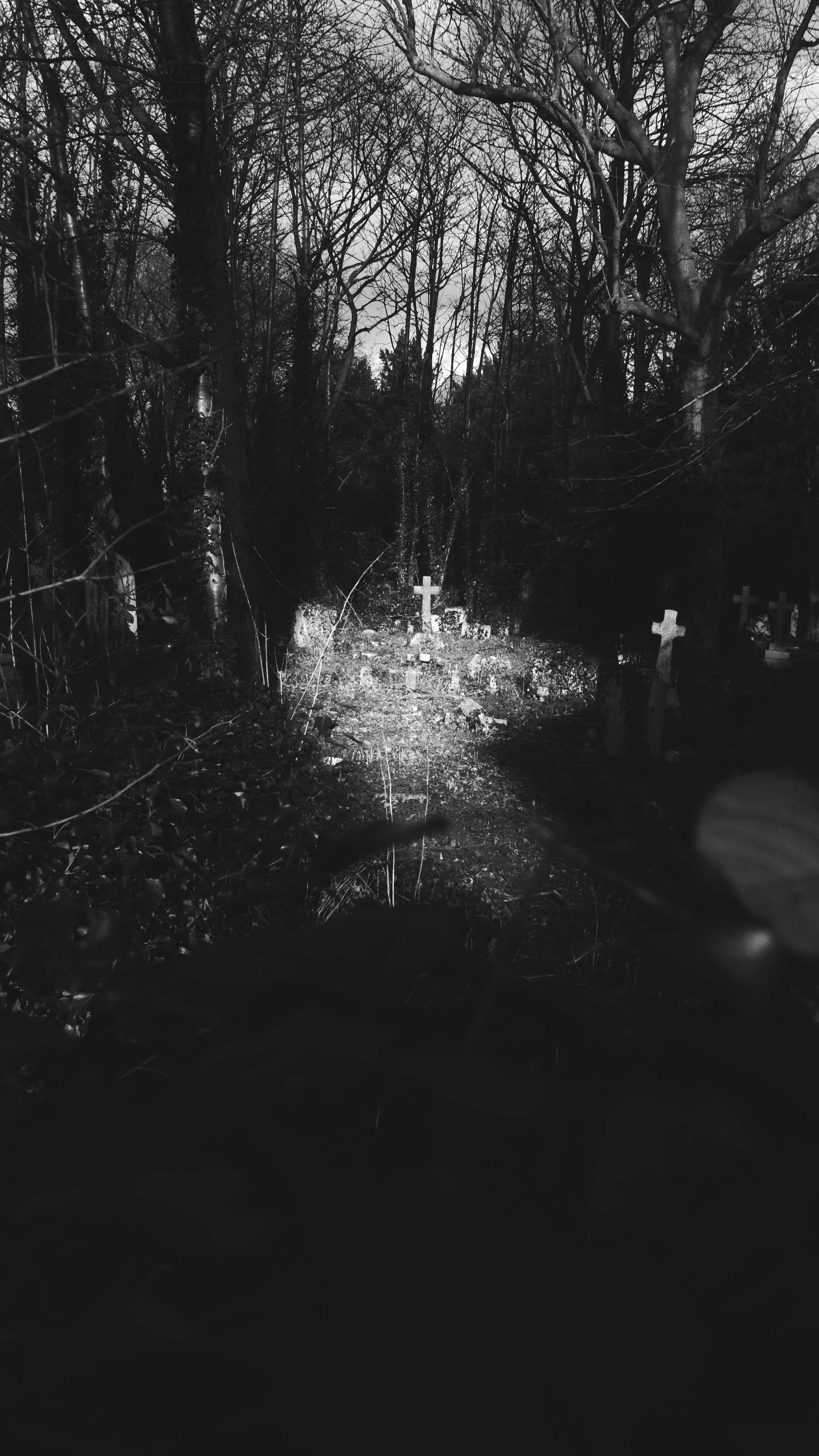 DSCF9078.jpg
