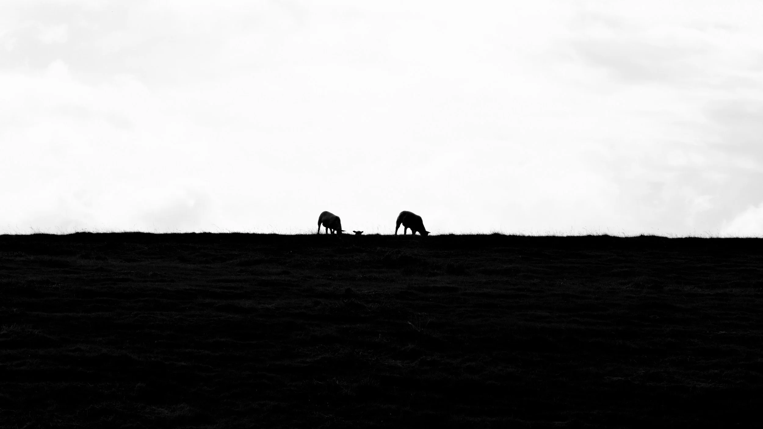 DSCF2670~2.JPG