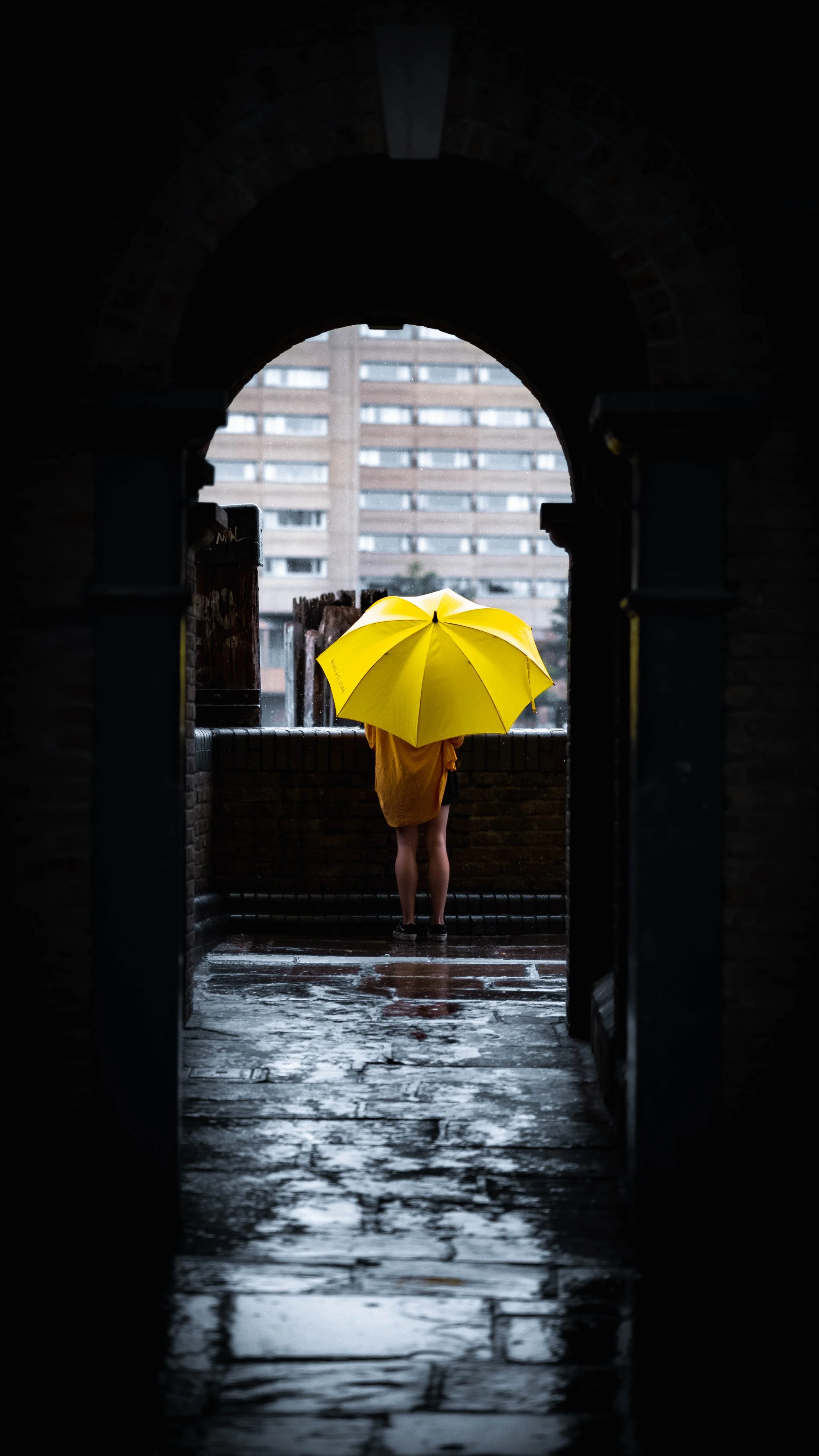 DSCF5503.jpg