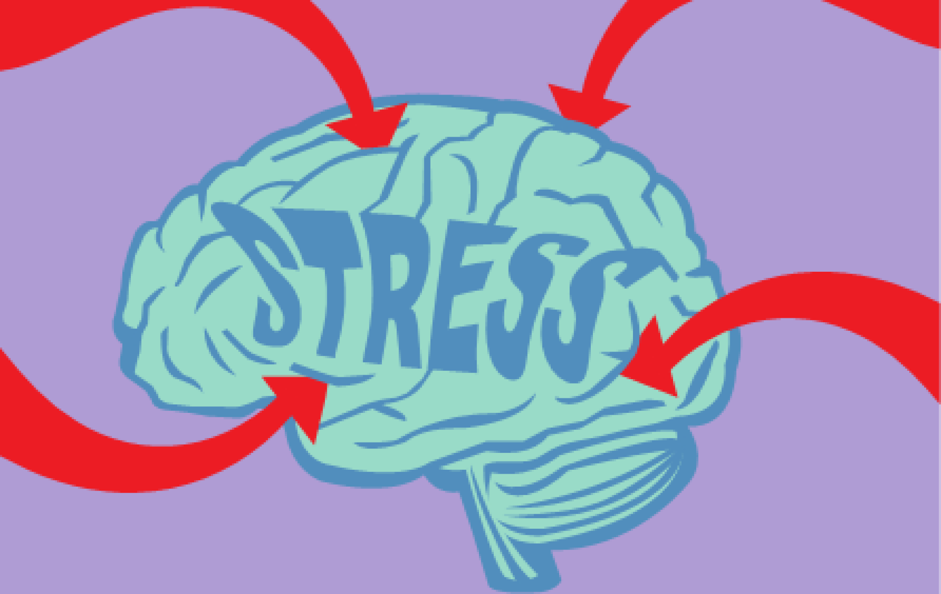 The Neurobiological Mechanisms Underlying Stress and its Role in Mental Health Disorders