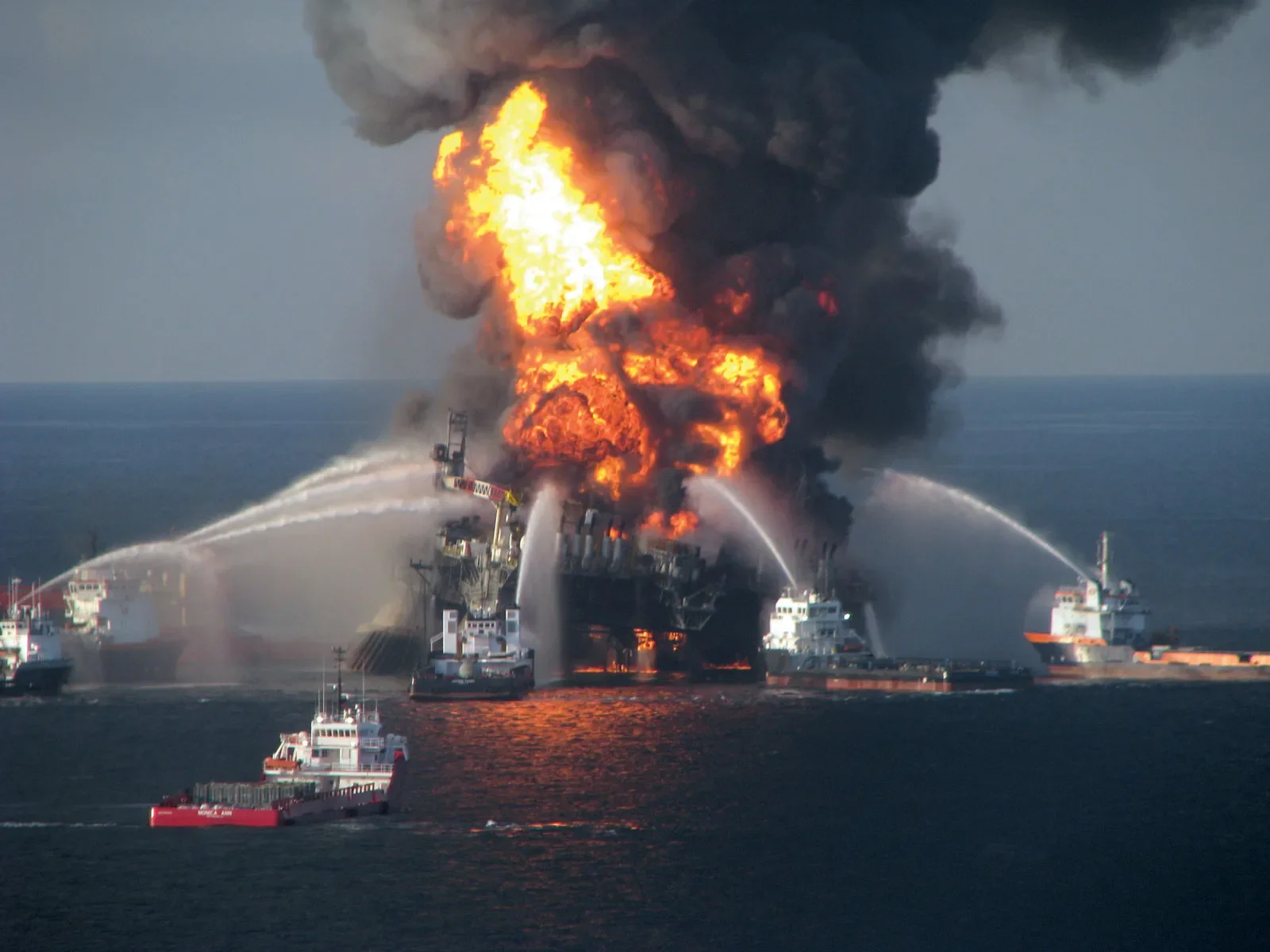The Effects of the Deepwater Horizon Oil Spill in the Gulf of Mexico?