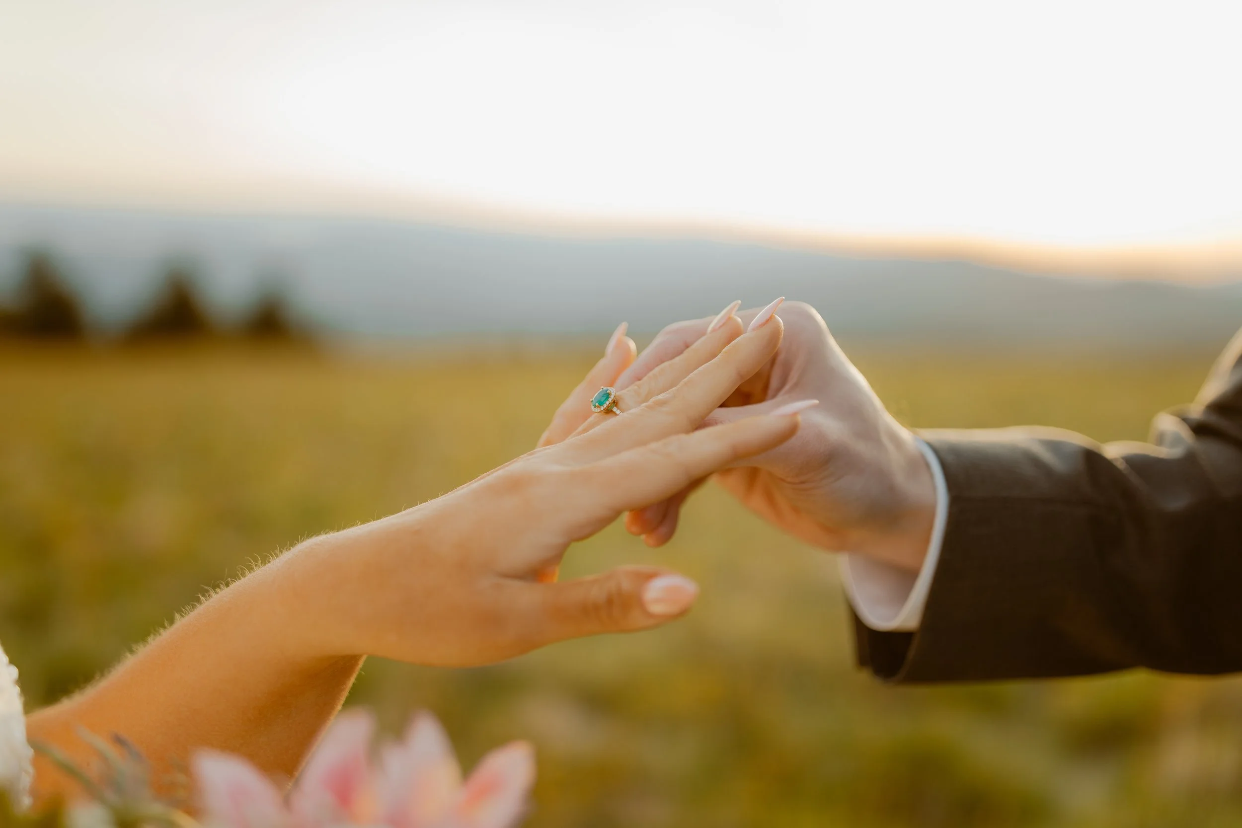 sunrise-roan-mountain-elopement-Tennessee