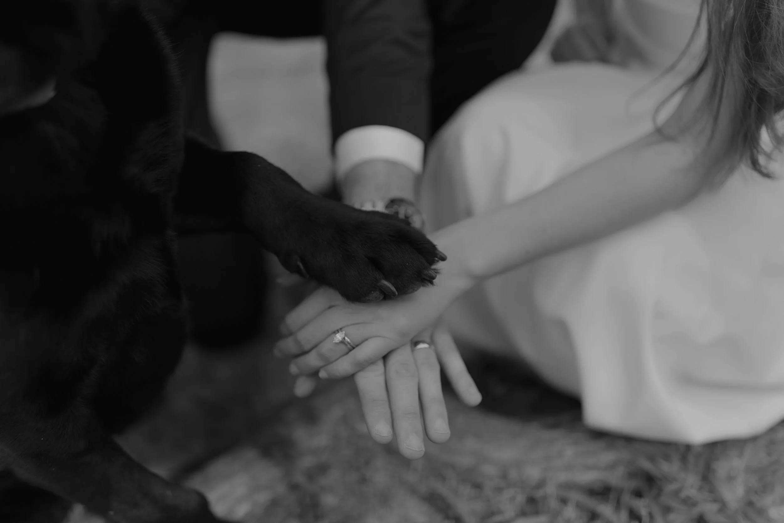 eloping-in-tennessee