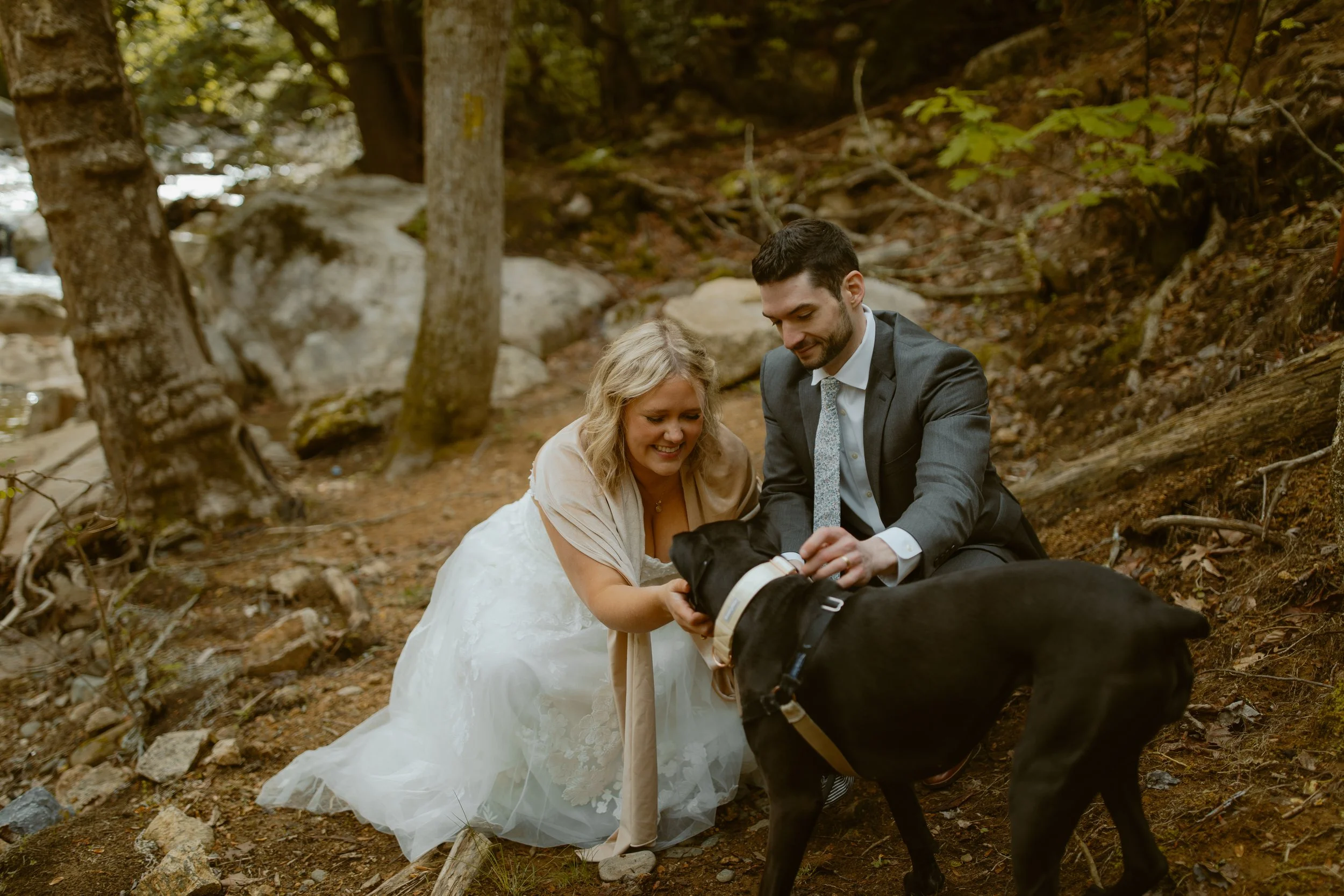 sunrise-roan-mountain-elopement-Tennessee