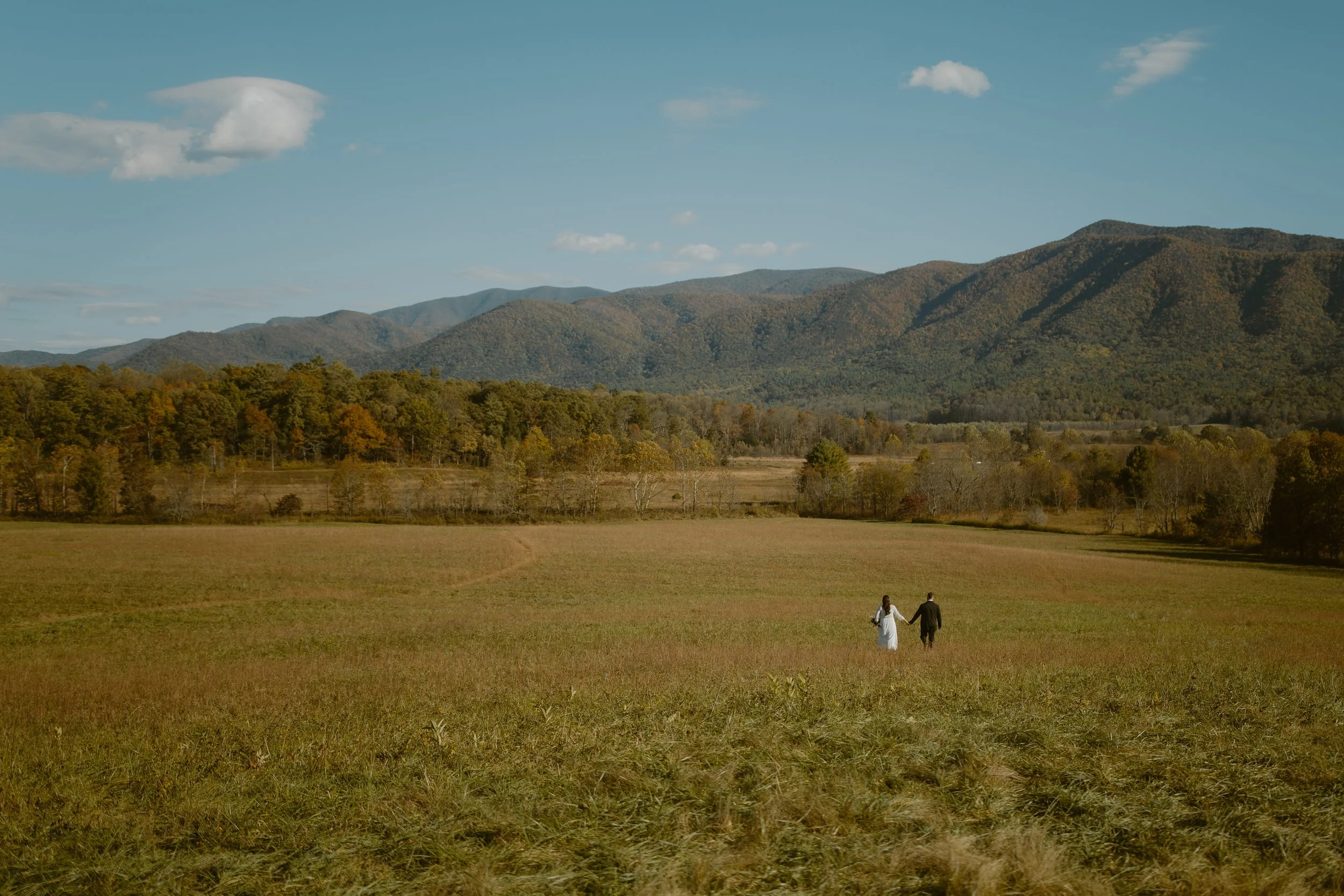 Elope at Cades Cove | Spots, tips and more 