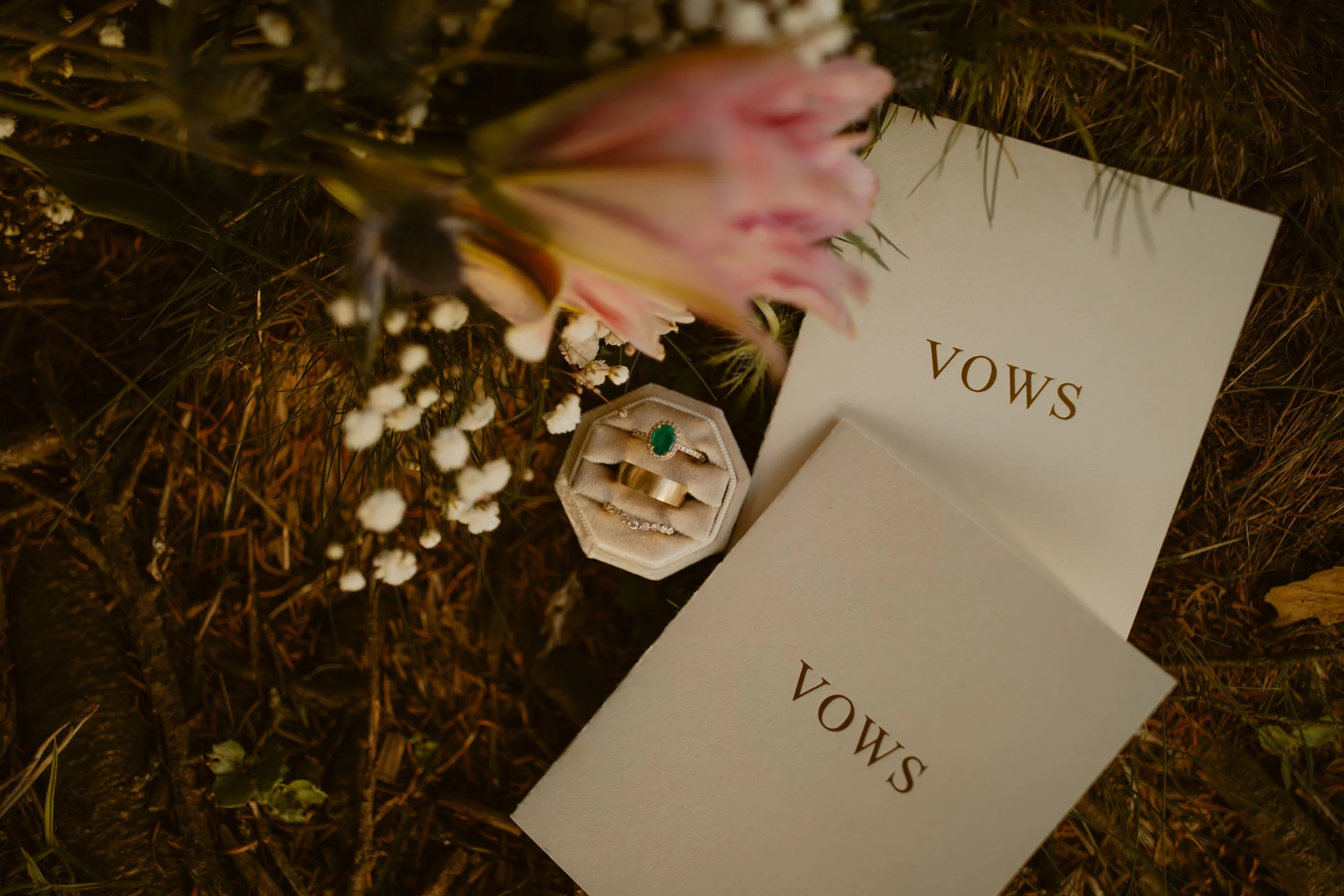 sunrise-roan-mountain-elopement-Tennessee