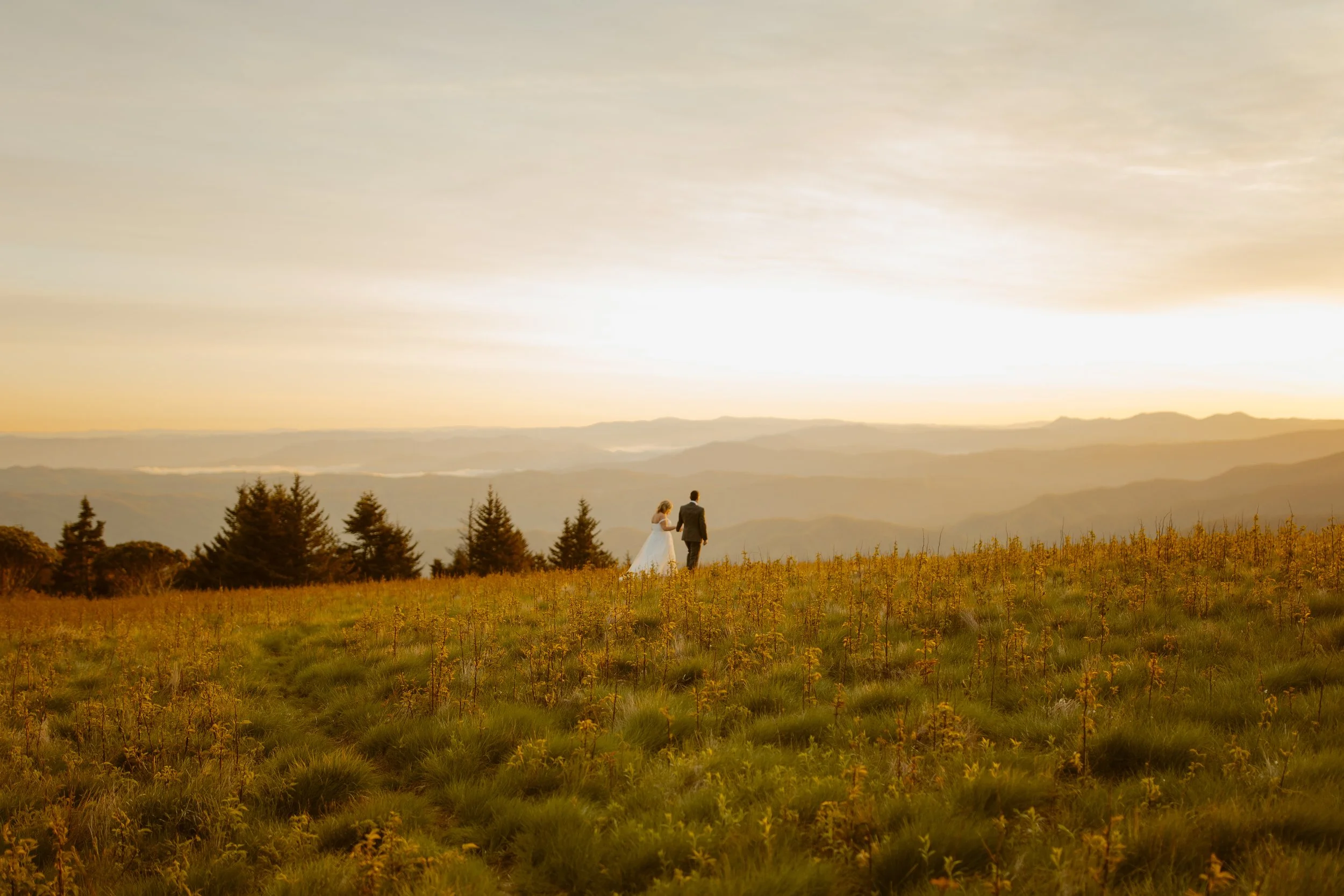 sunrise-roan-mountain-elopement-Tennessee
