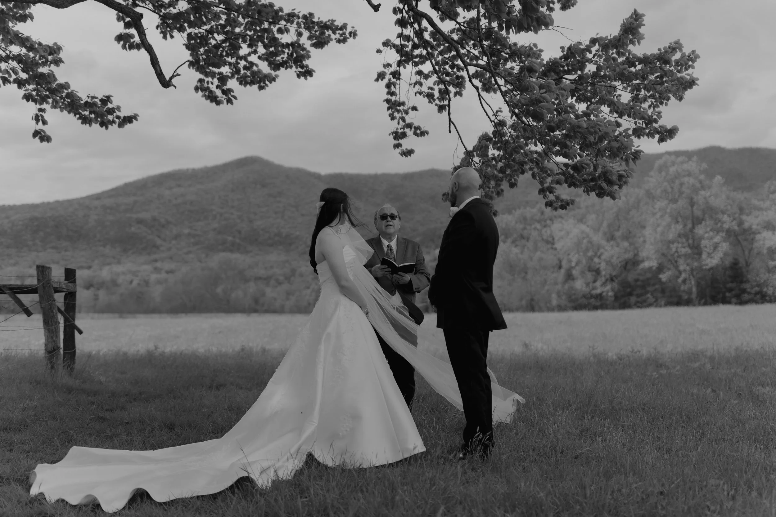elopement-in-the-smoky-mountains-national-park