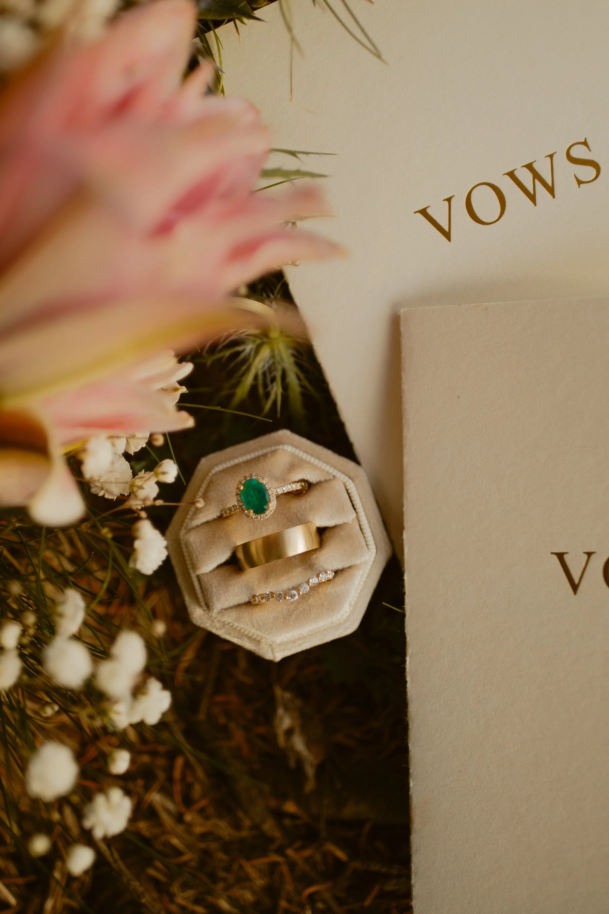 sunrise-roan-mountain-elopement-Tennessee