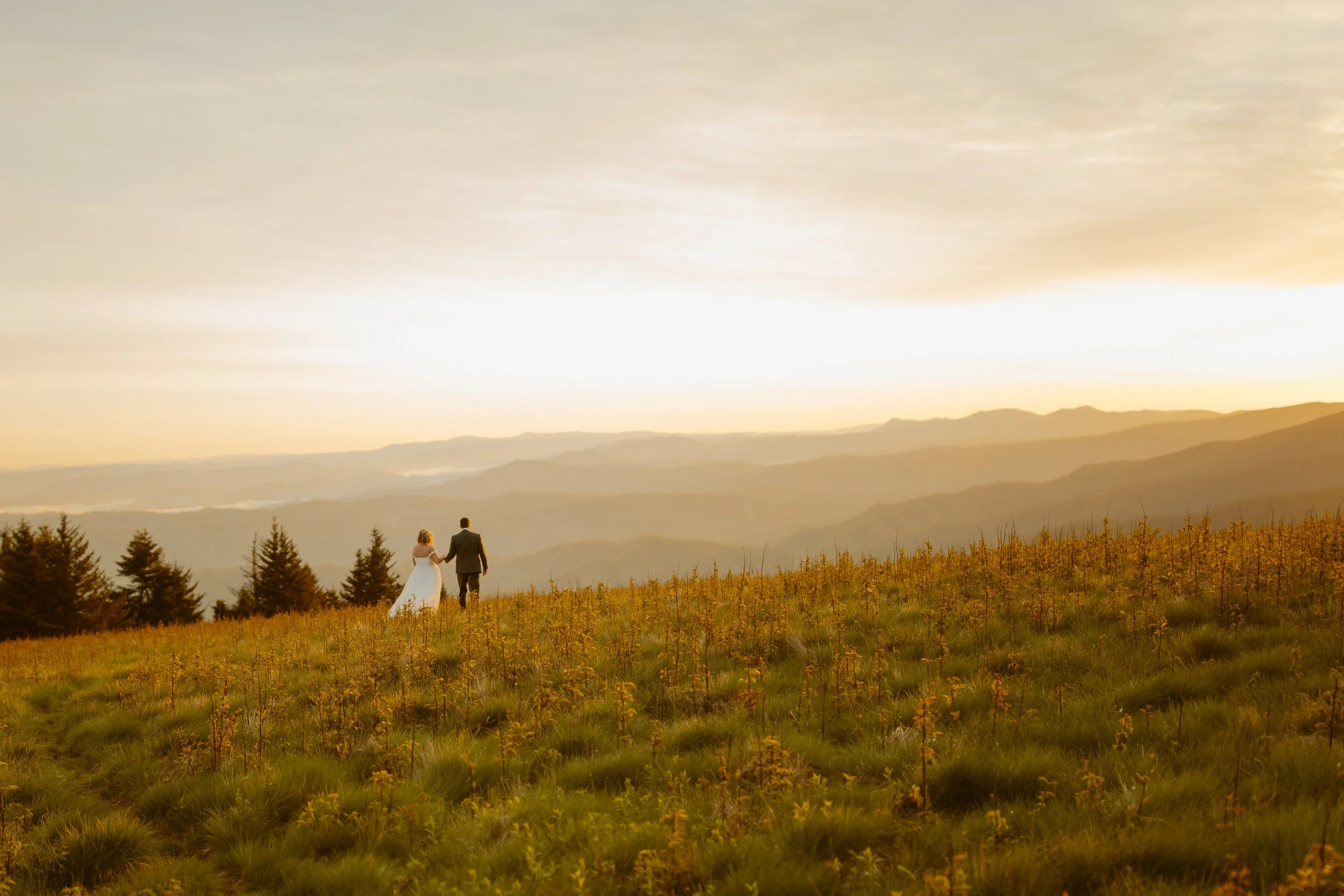 sunrise-roan-mountain-elopement-Tennessee