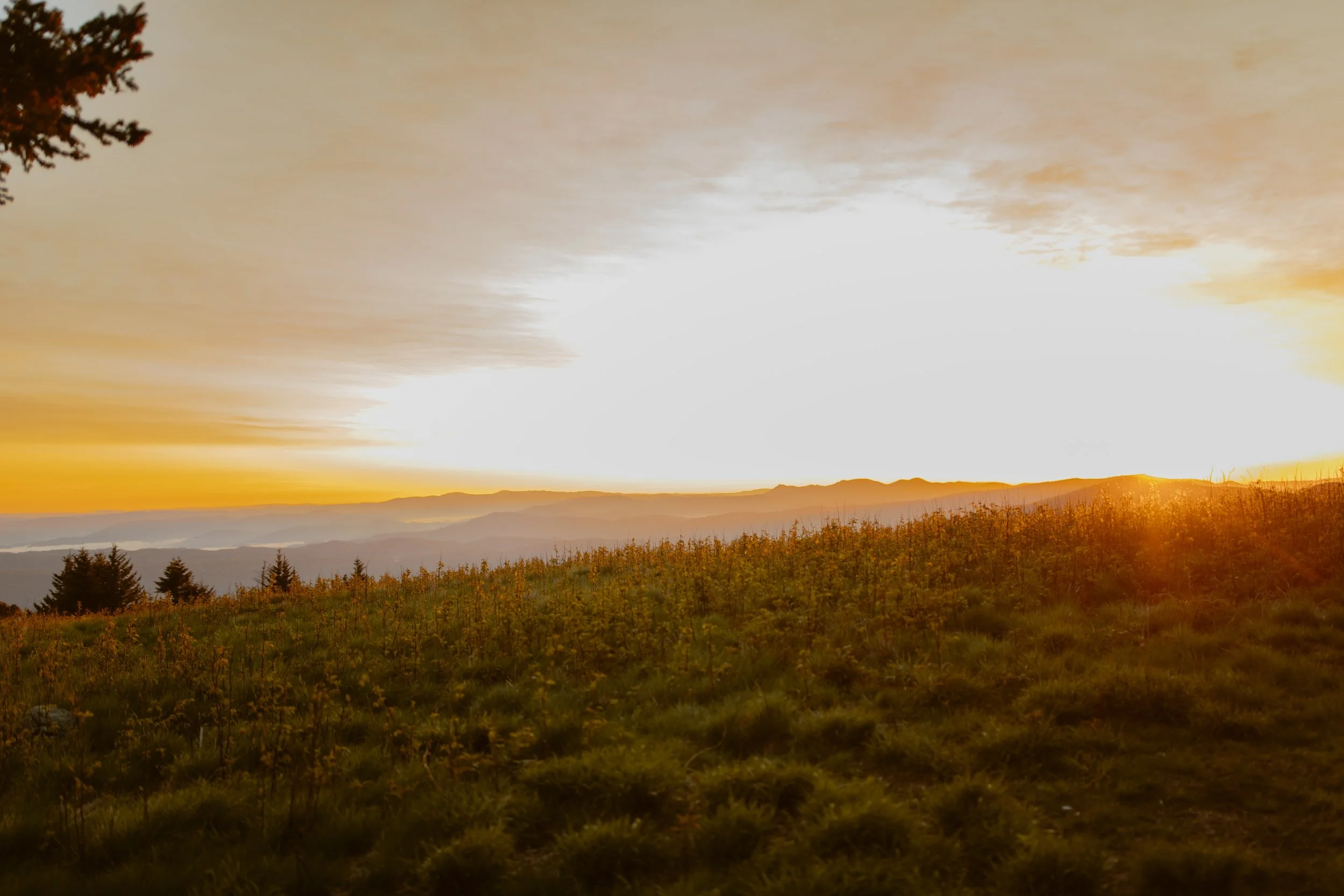 sunrise-roan-mountain-elopement-Tennessee
