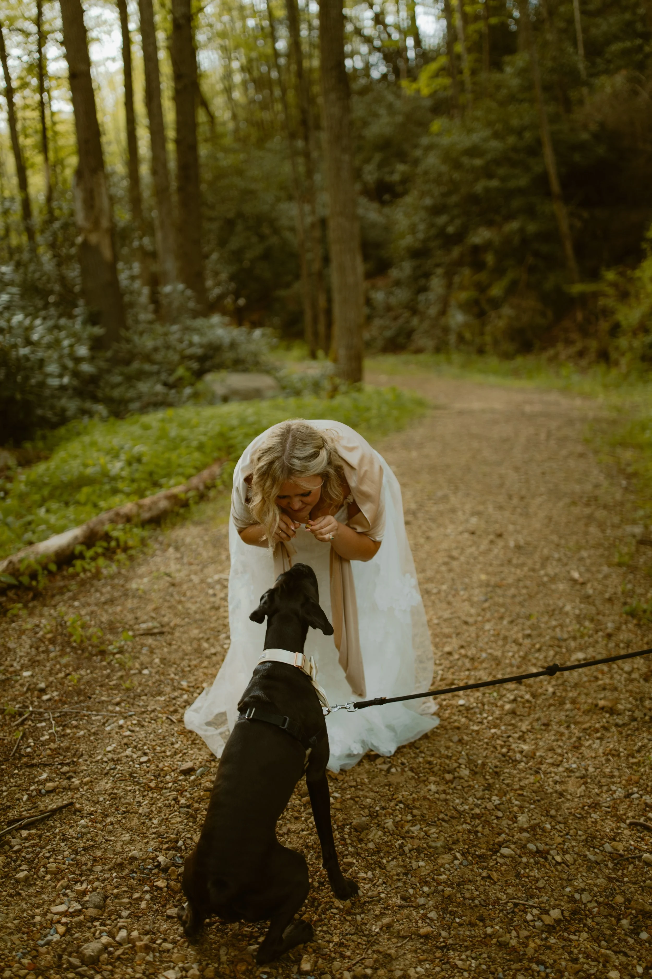sunrise-roan-mountain-elopement-Tennessee