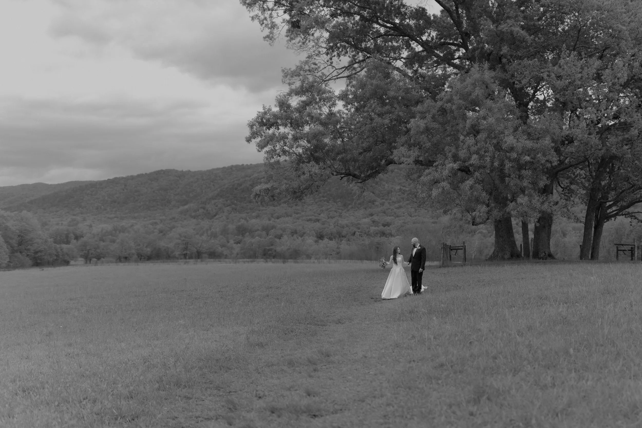 elopement-in-the-smoky-mountains-national-park