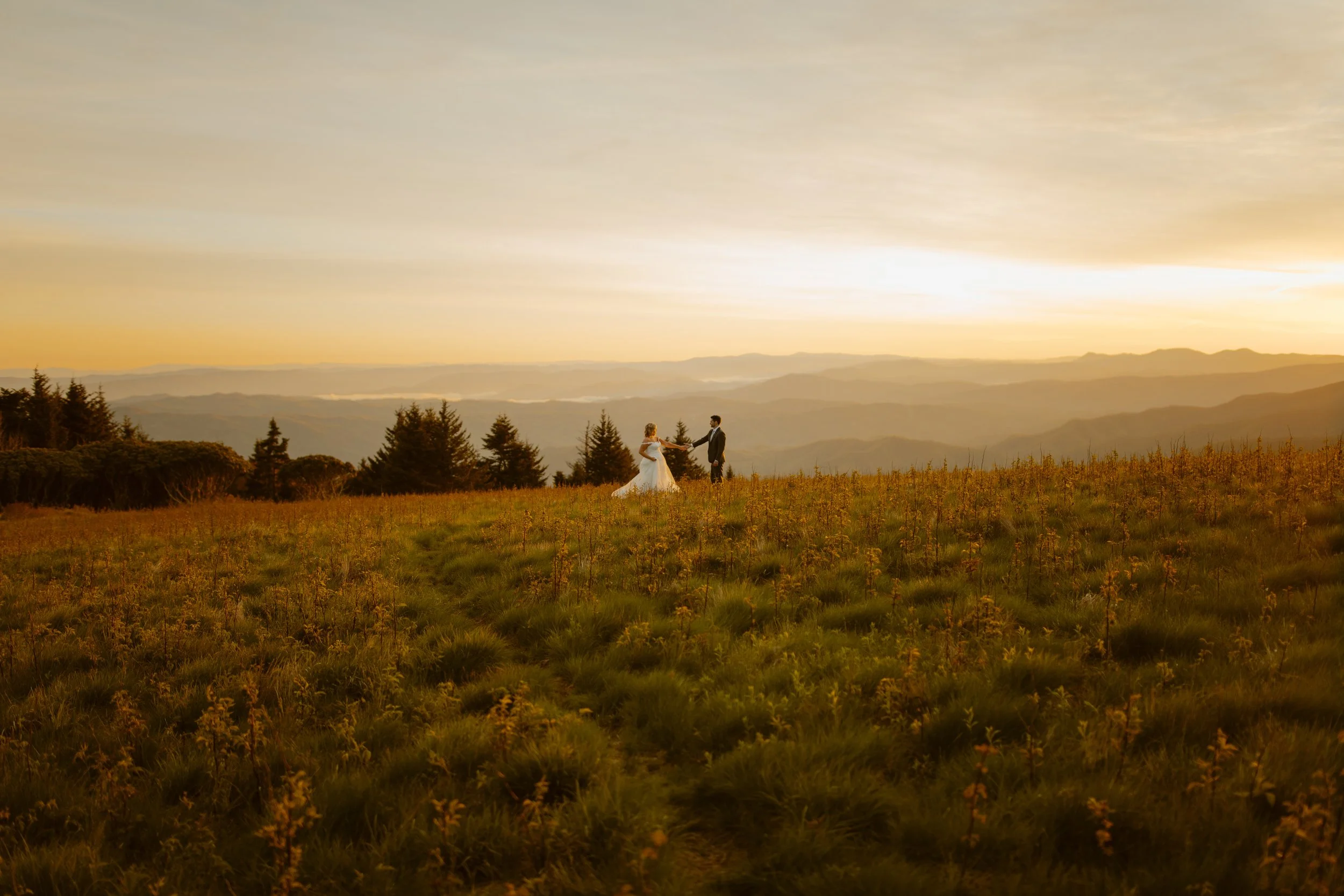 sunrise-roan-mountain-elopement-Tennessee