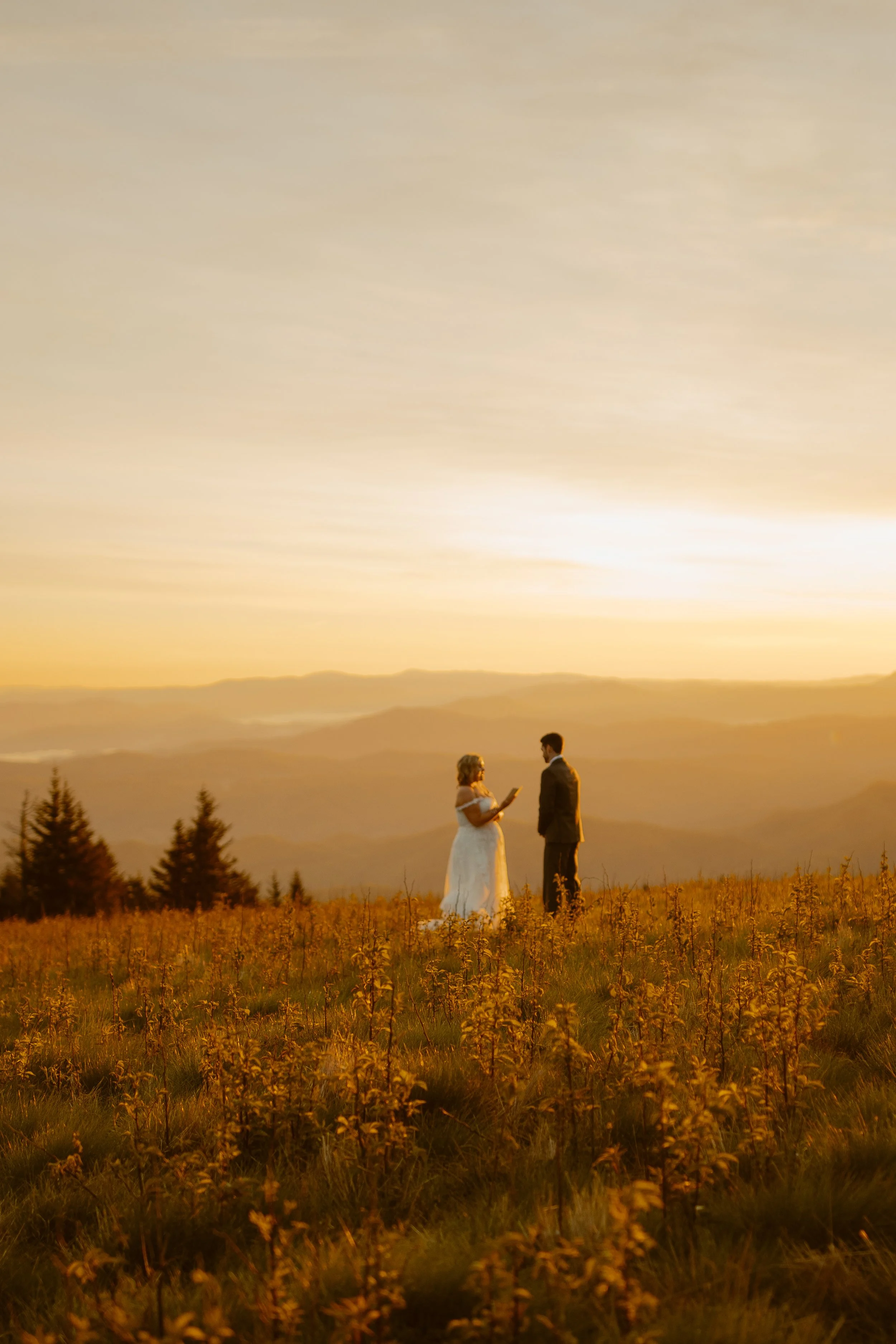 sunrise-roan-mountain-elopement-Tennessee