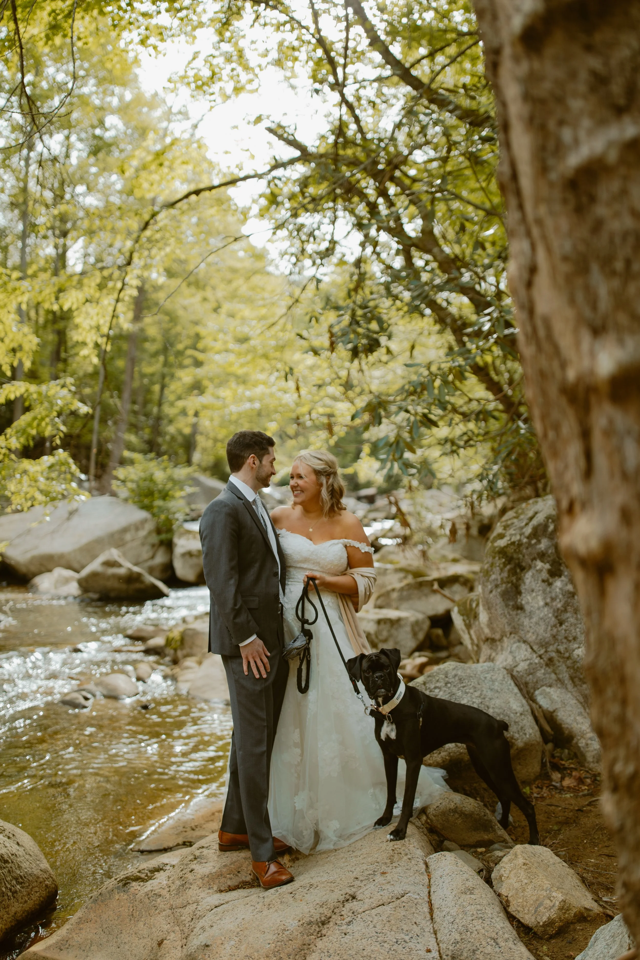 sunrise-roan-mountain-elopement-Tennessee