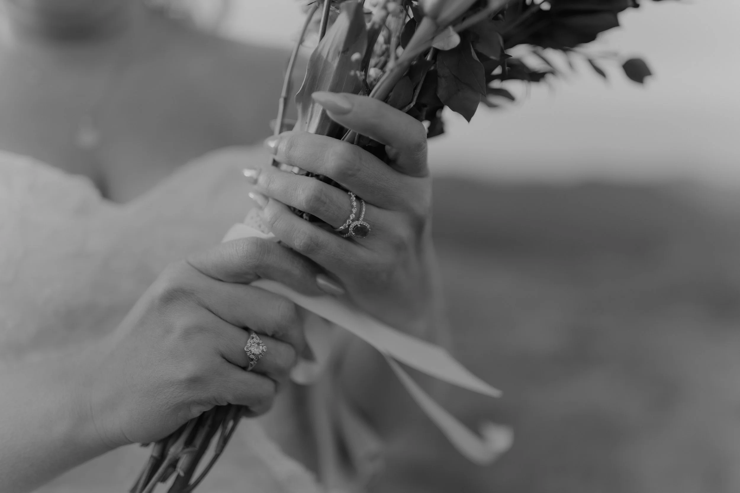 sunrise-roan-mountain-elopement-Tennessee