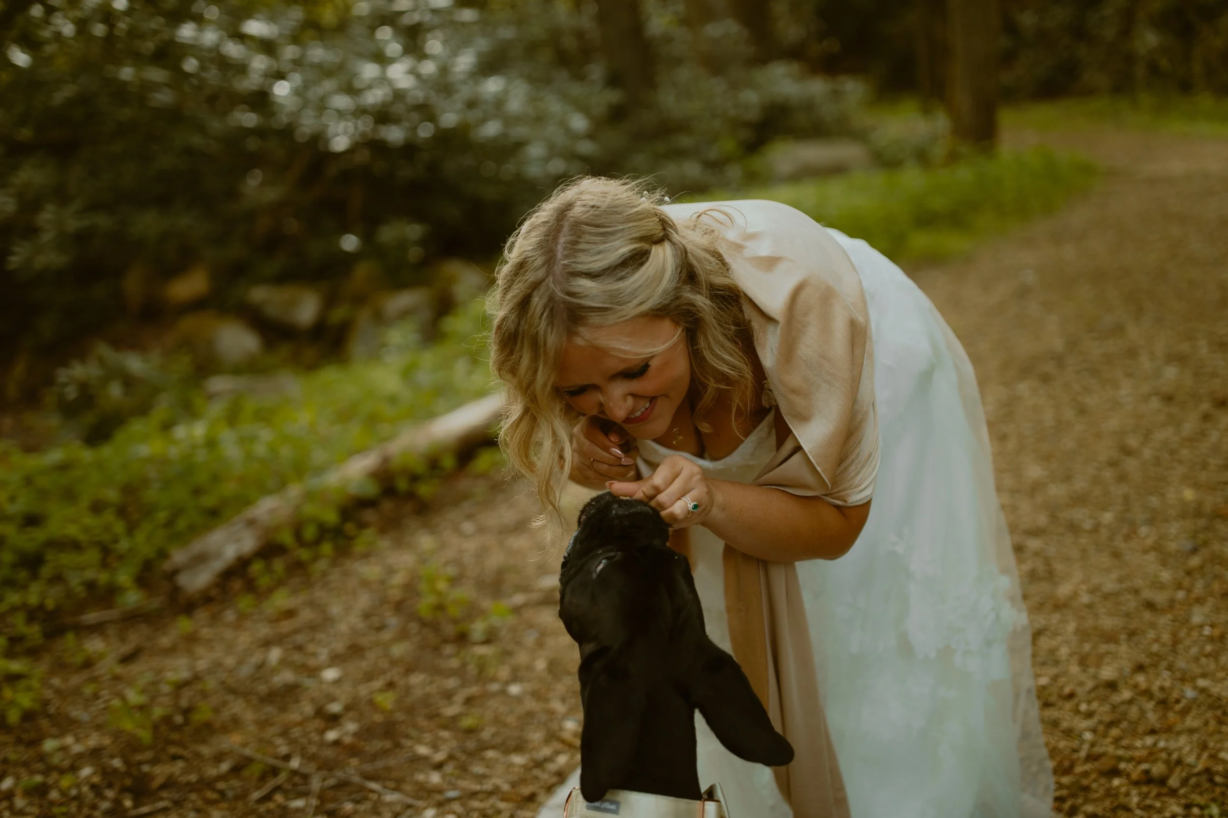 sunrise-roan-mountain-elopement-Tennessee