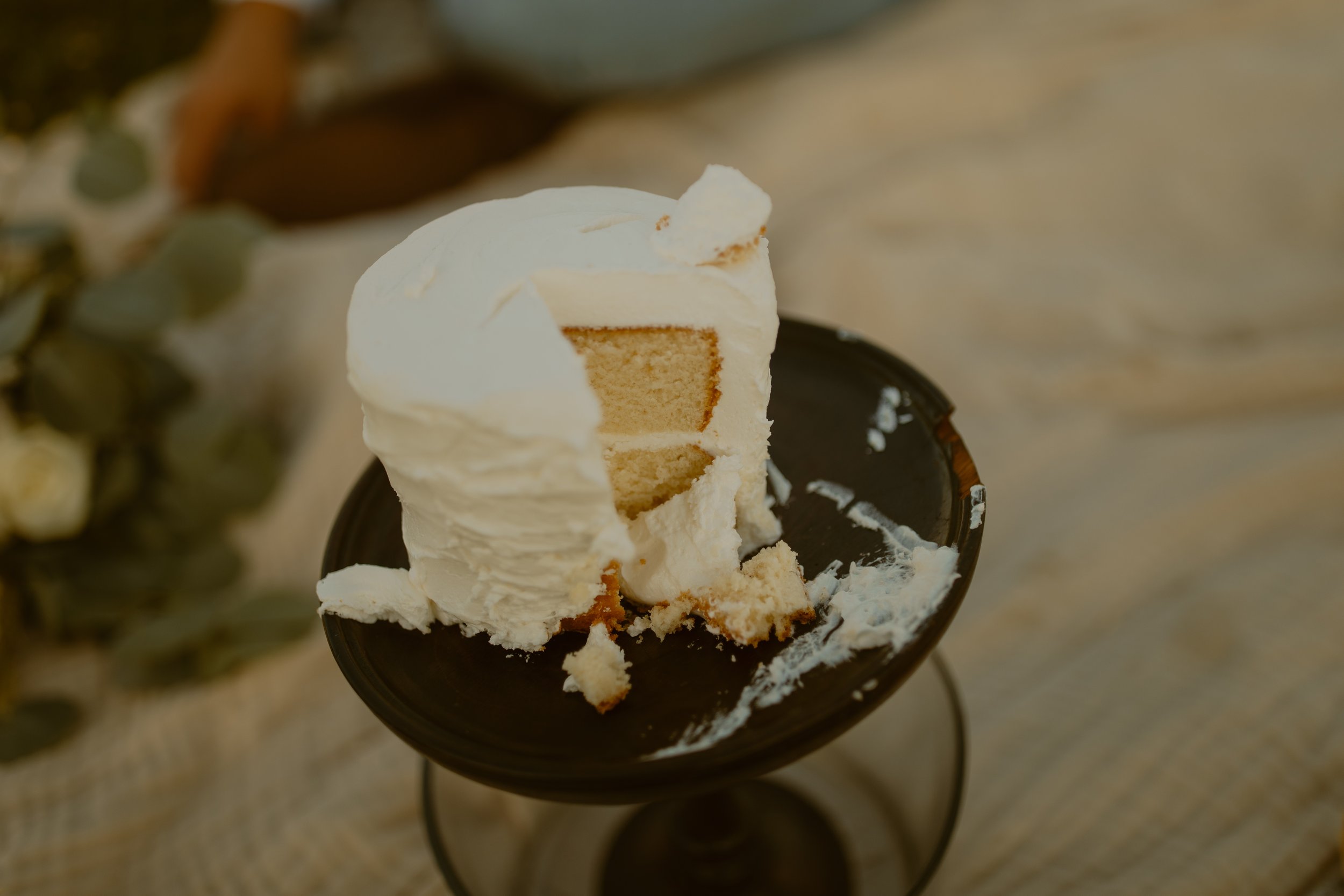 Maxpatch-Tennessee-elopement