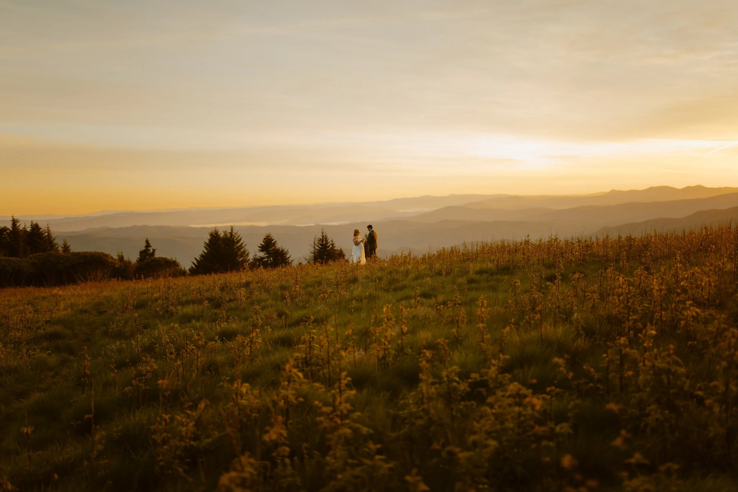 sunrise-roan-mountain-elopement-Tennessee