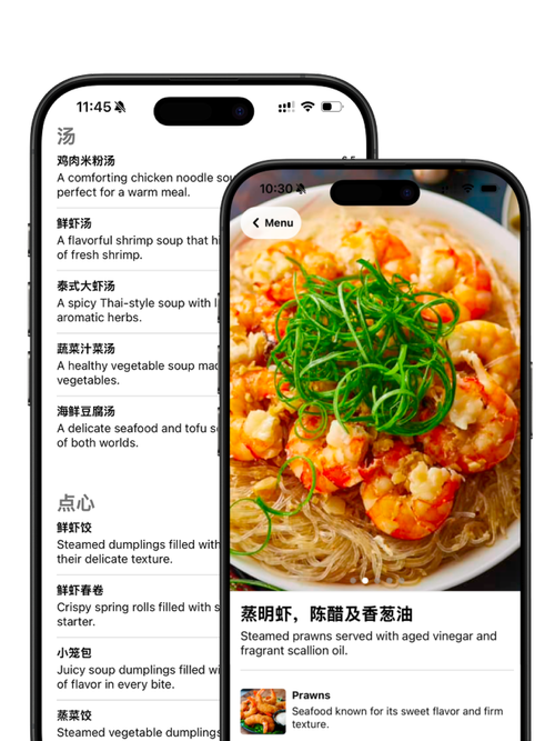 Menu Explain | Translate & Visualize Menus