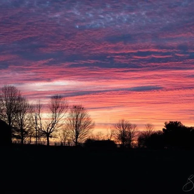 God painted the sky tonight!