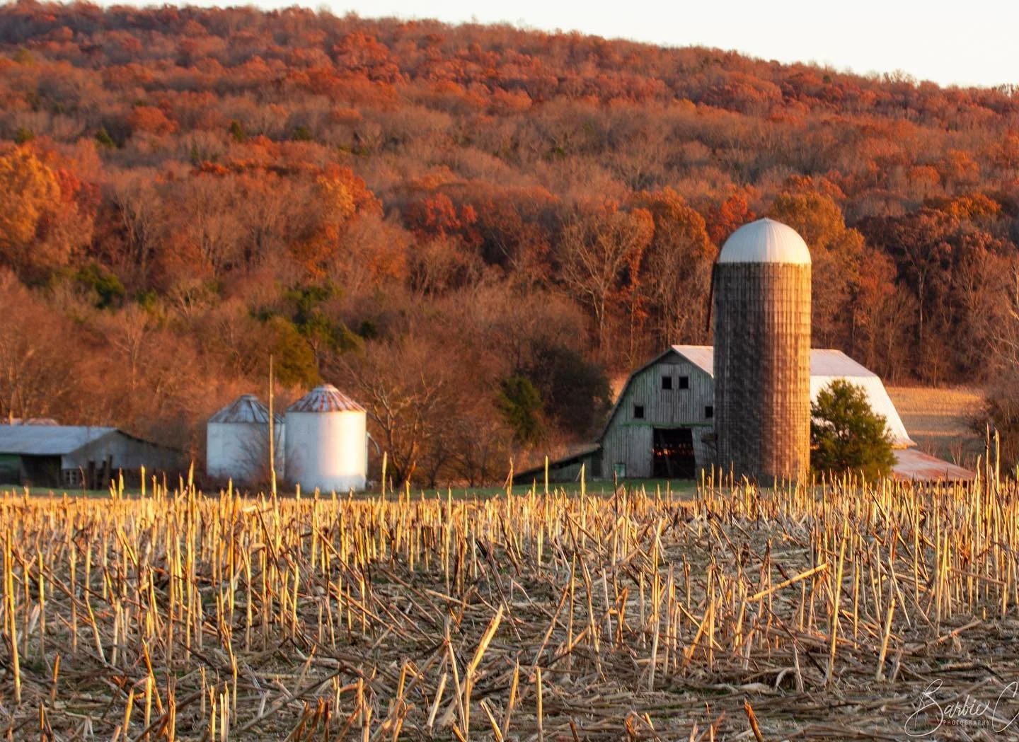 Thought I&rsquo;d share a fall pic today to go with the fall feeling weather we have outside this weekend!