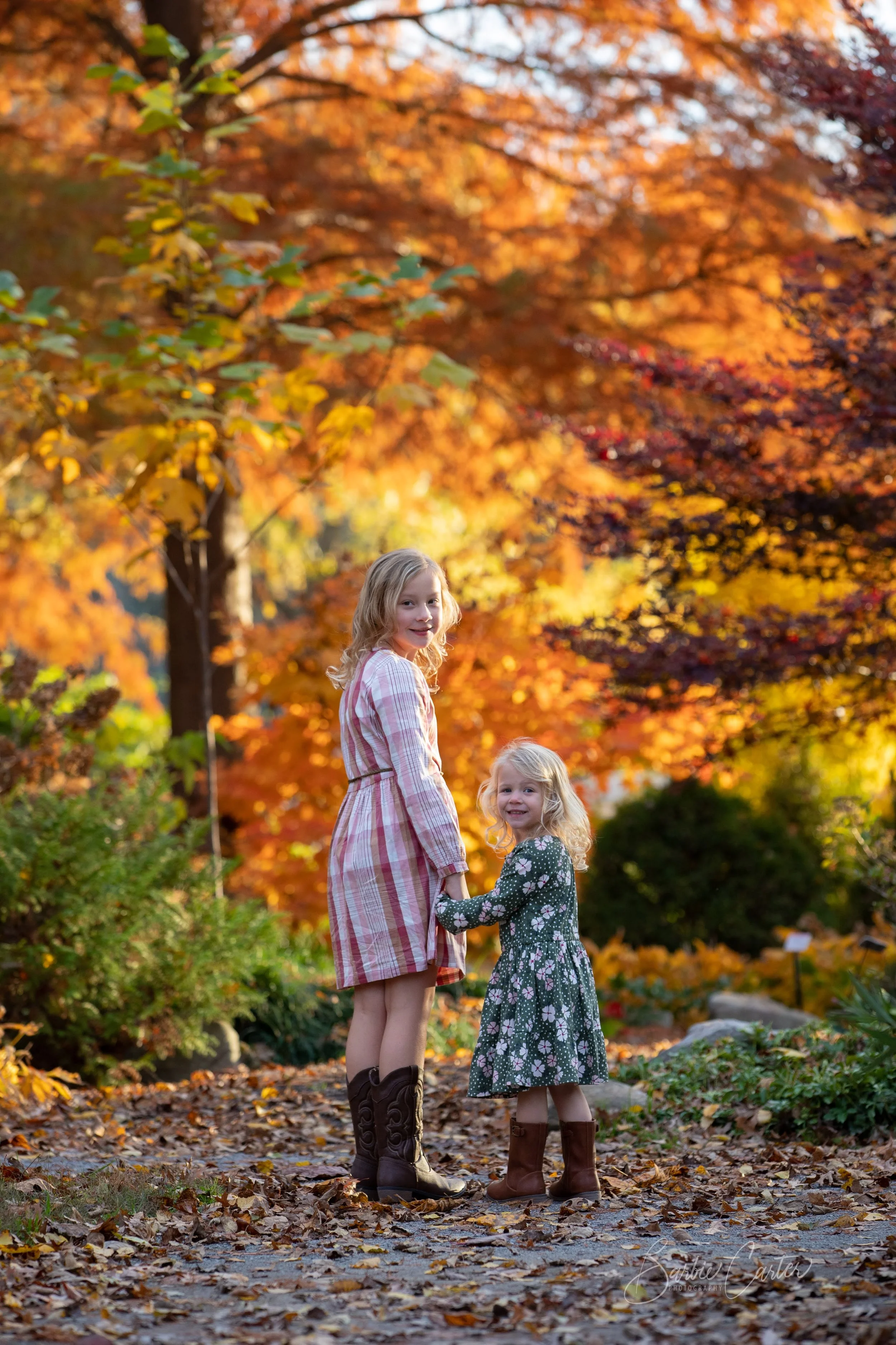 Sunset Trees-8843.jpg