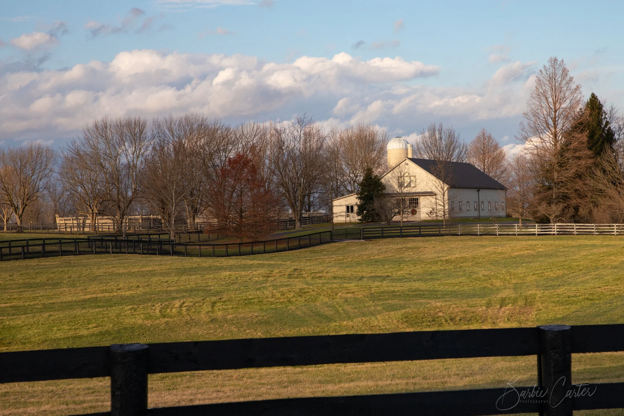 Barn in Field-4425.jpg