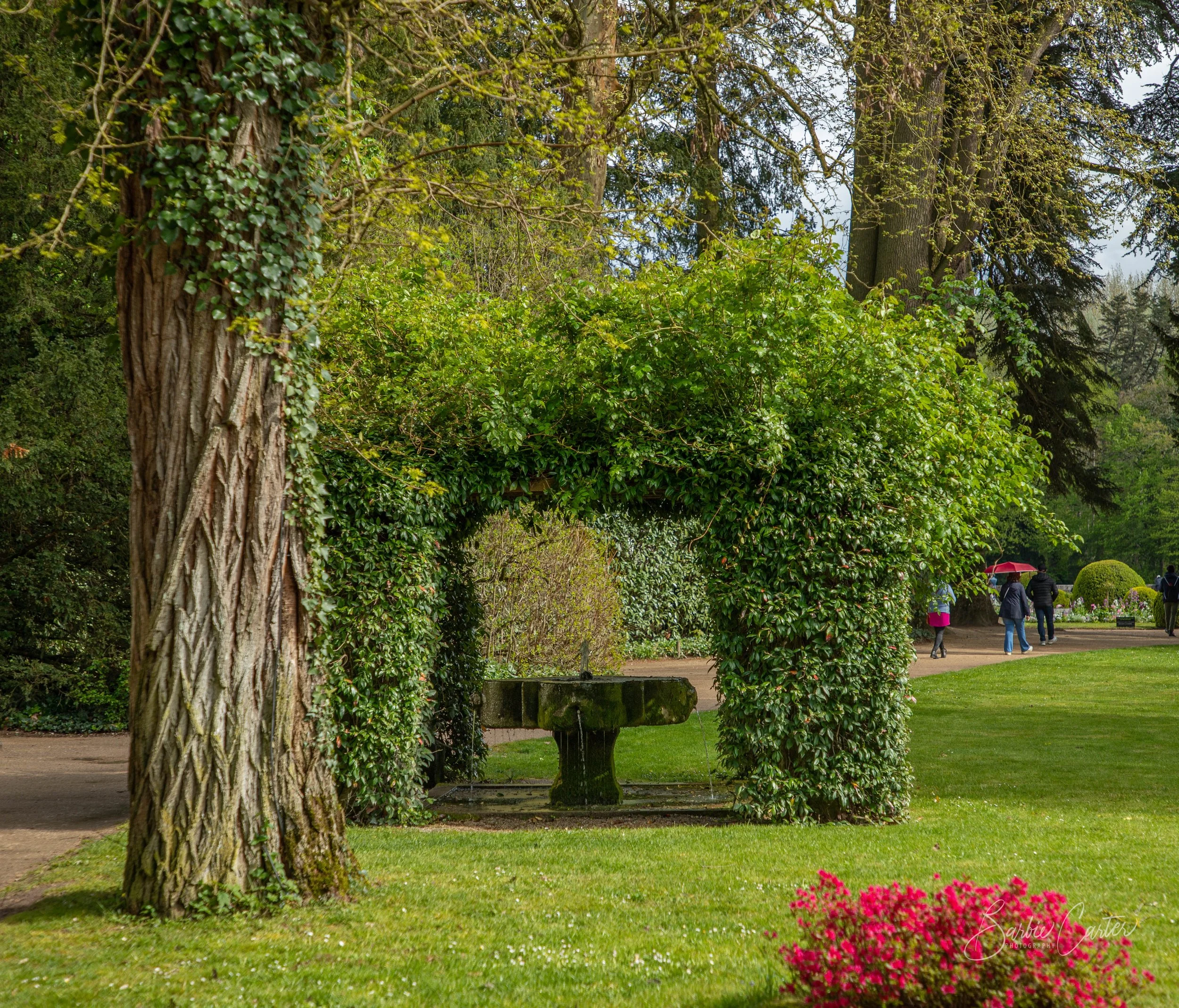 Chenonceau-0812.jpg