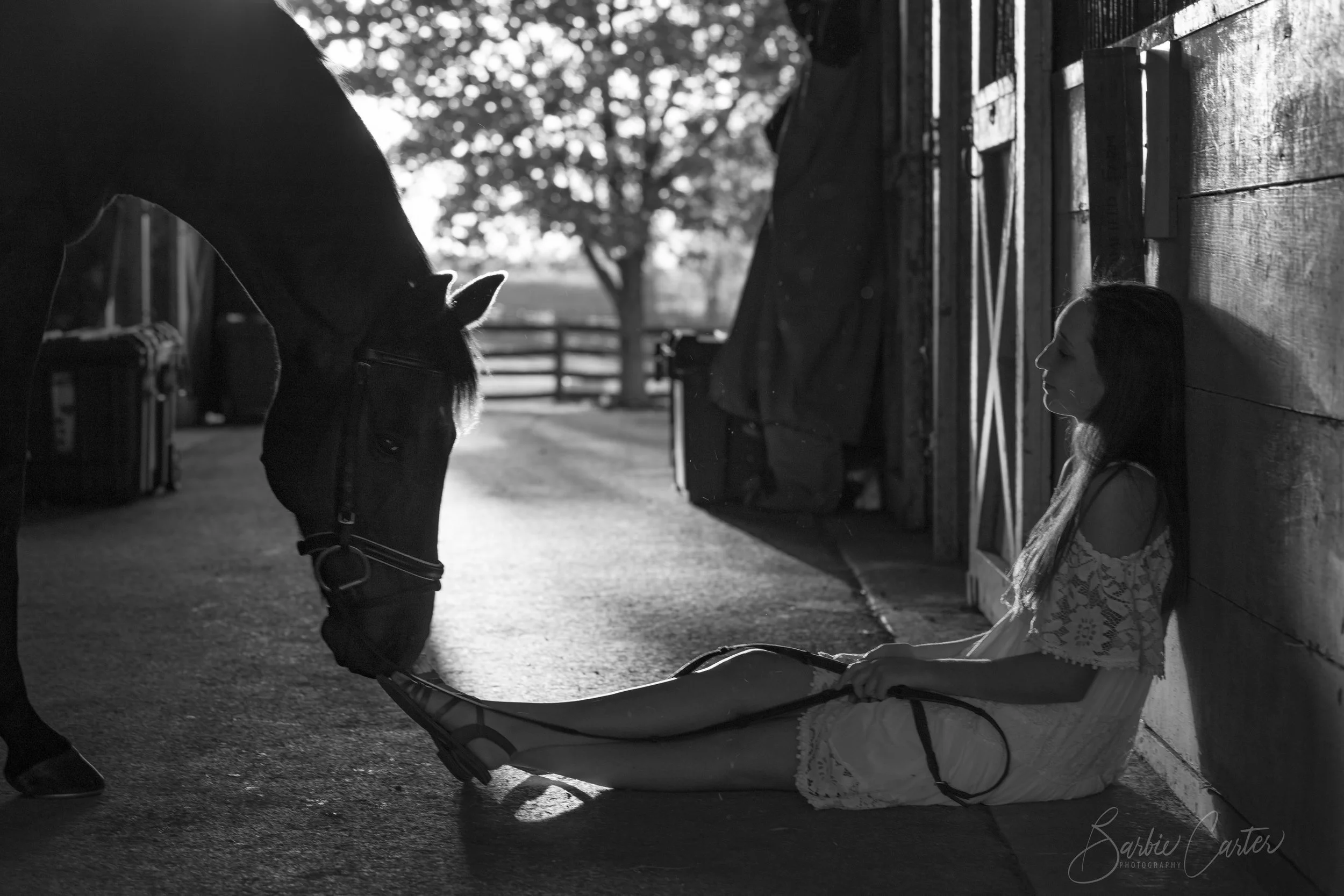 White Dress Barn Sitting-1399.jpg