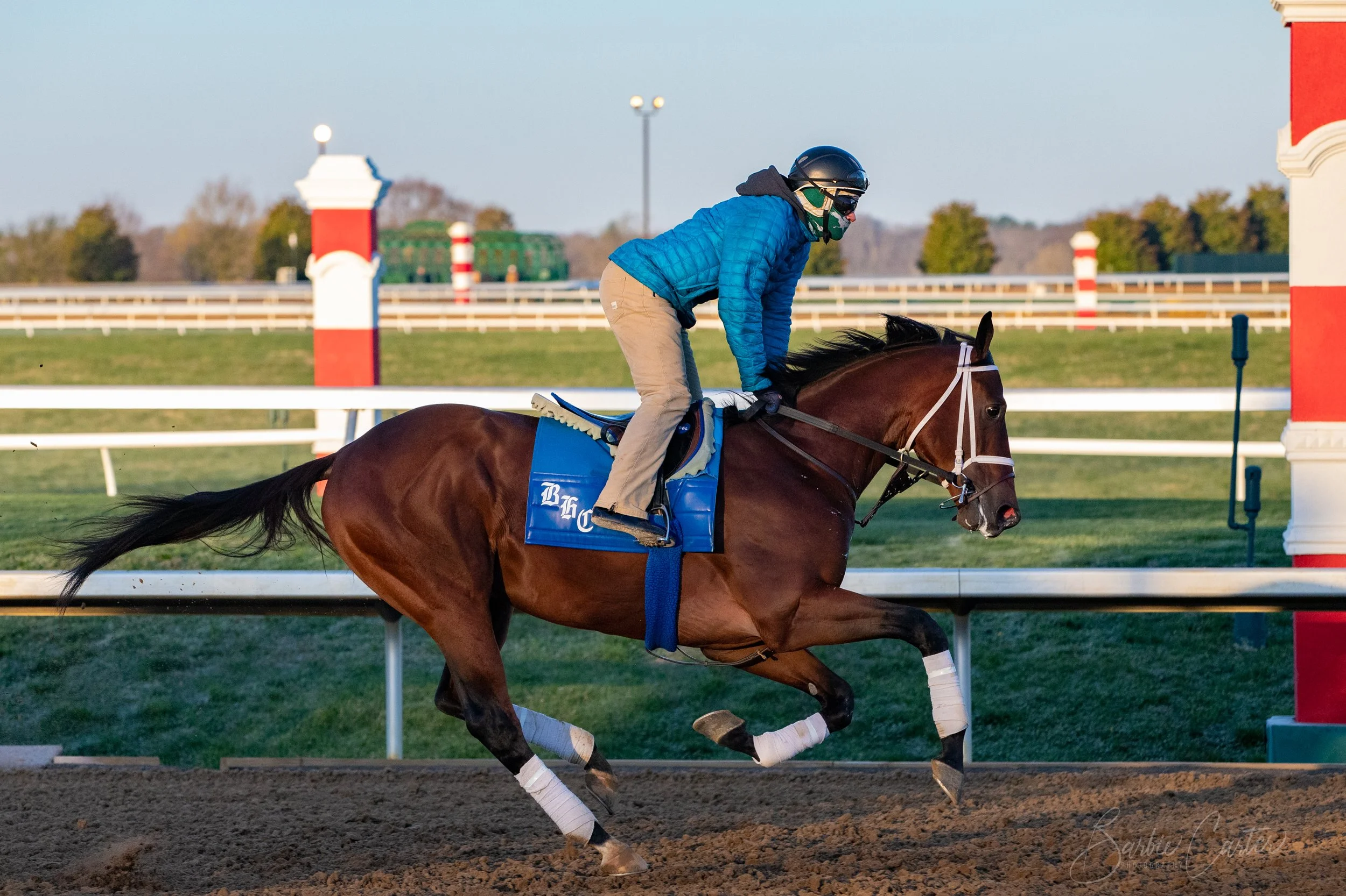 Horse Running-0104.jpg