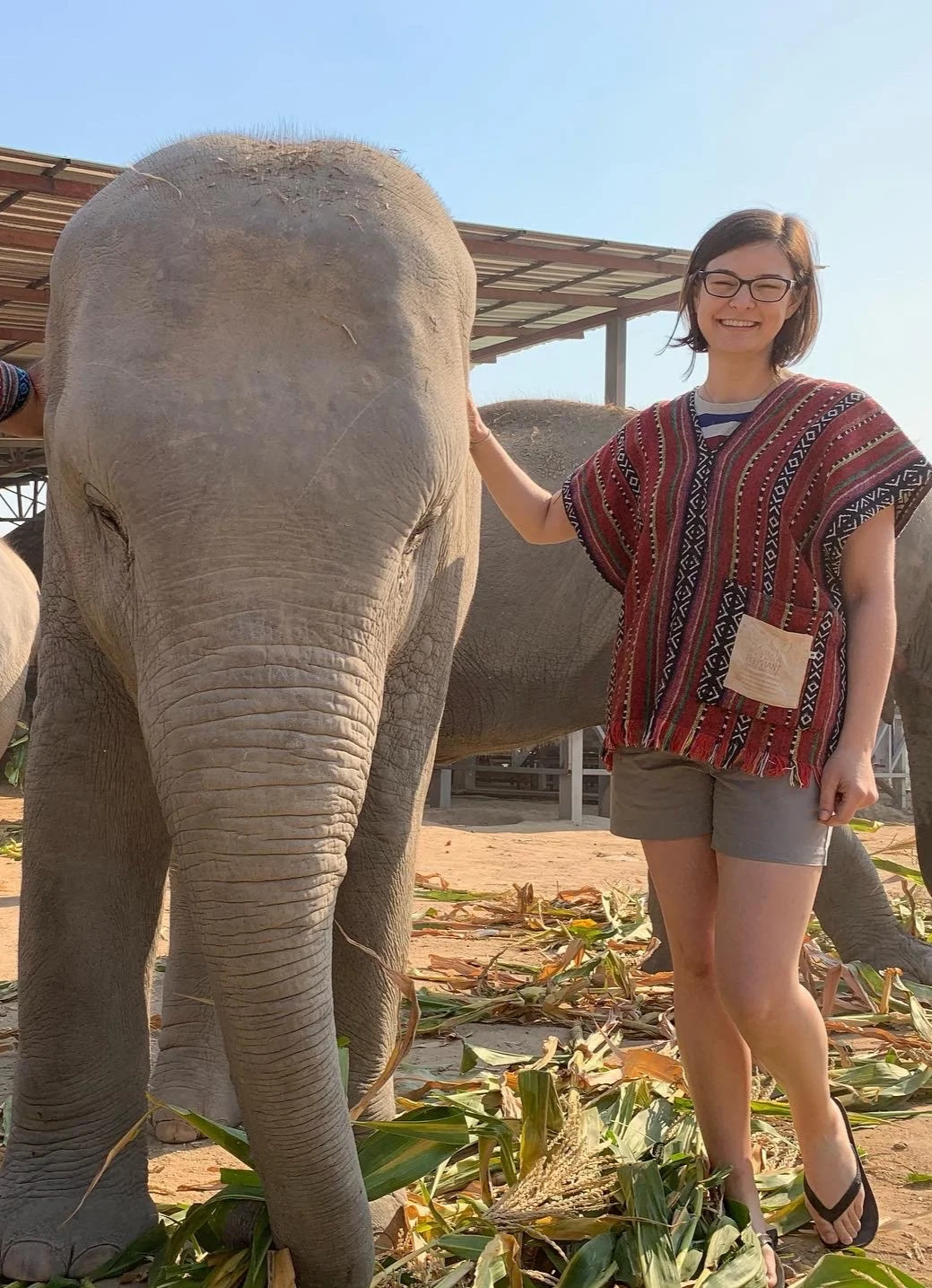 Marketing Strategy & Copywriting services from Hilary, seen here with a young elephant in Thailand.