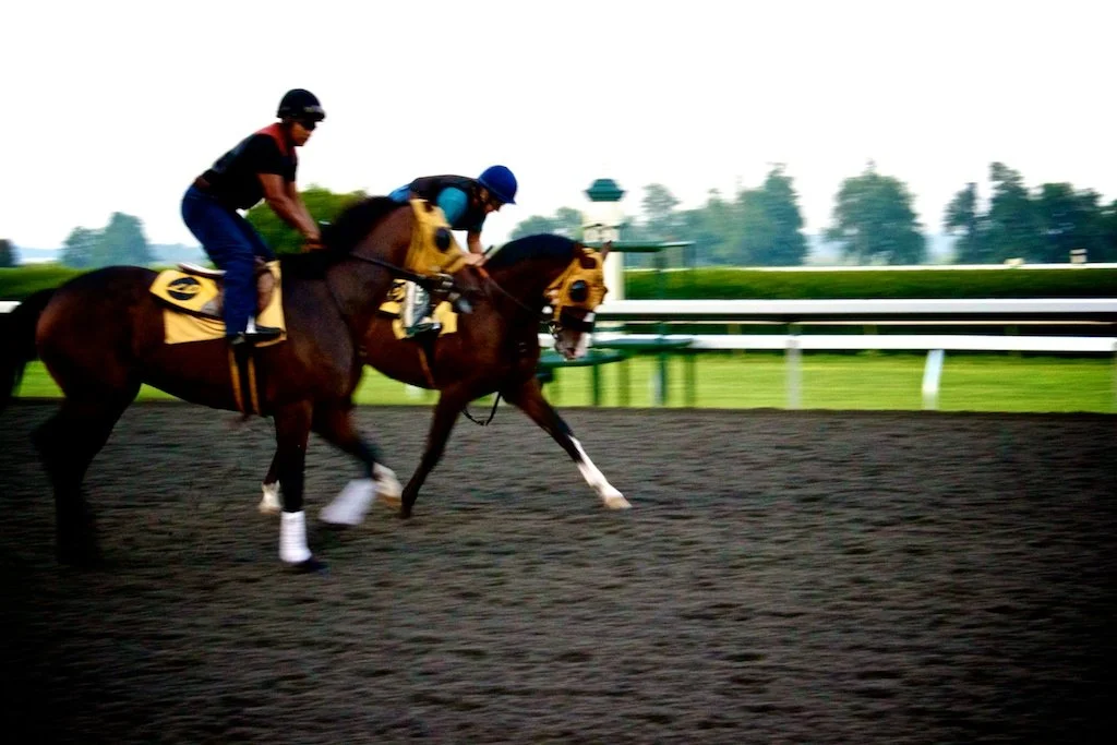 Knowing the audience wasn't enough for this horse racing wagering platform. Racehorses exercising at Keeneland