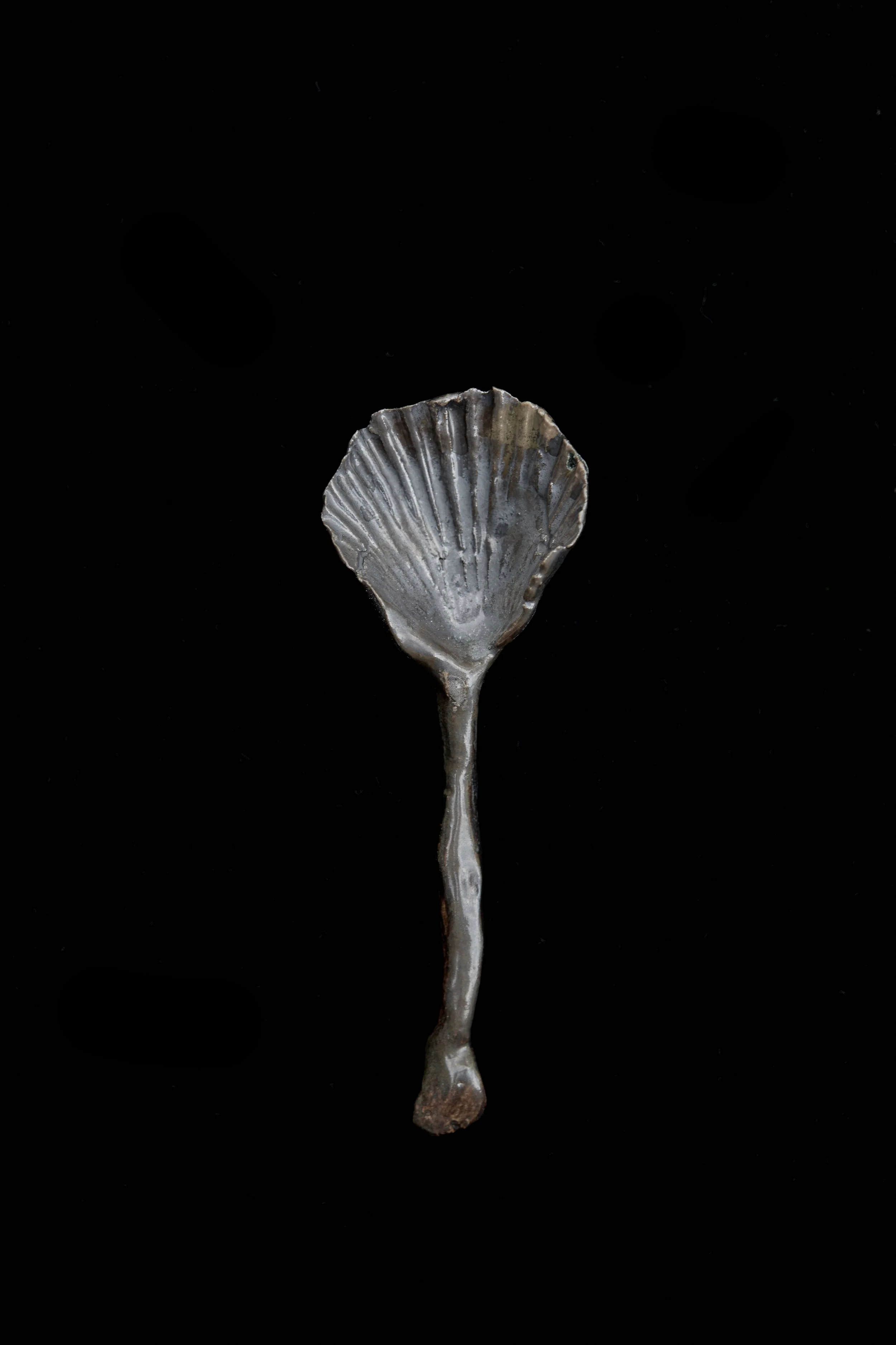 Mud-Bunny_Ceramic-Shell-Spoon5.jpg