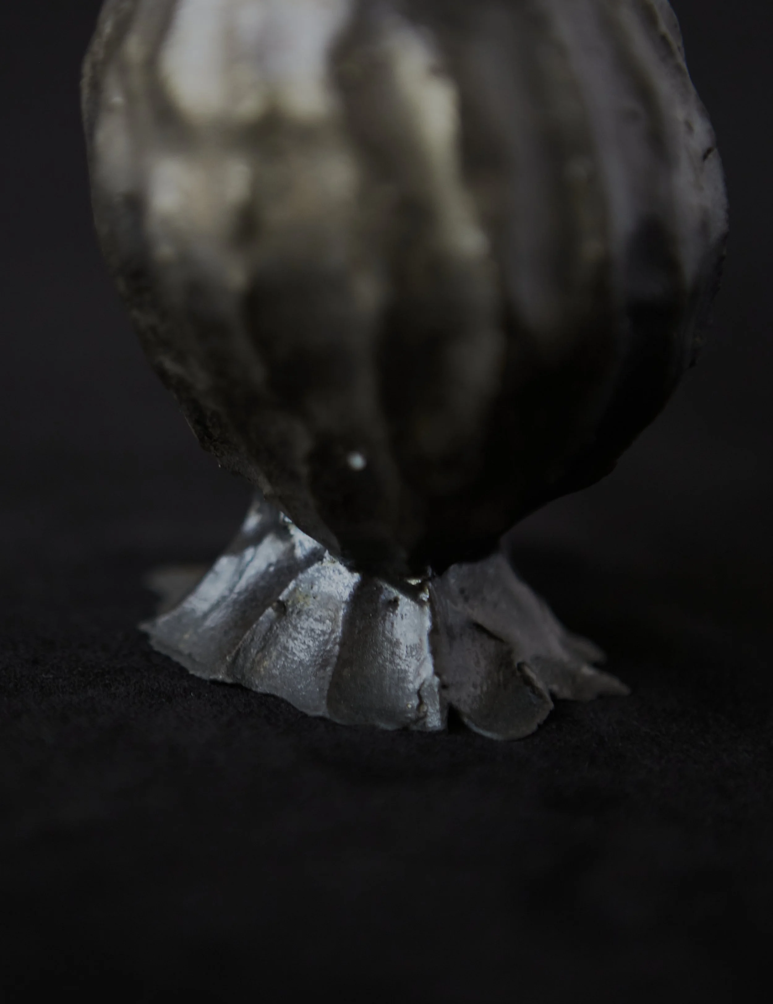 Mud-Bunny-Ceramic- 66_187.jpg