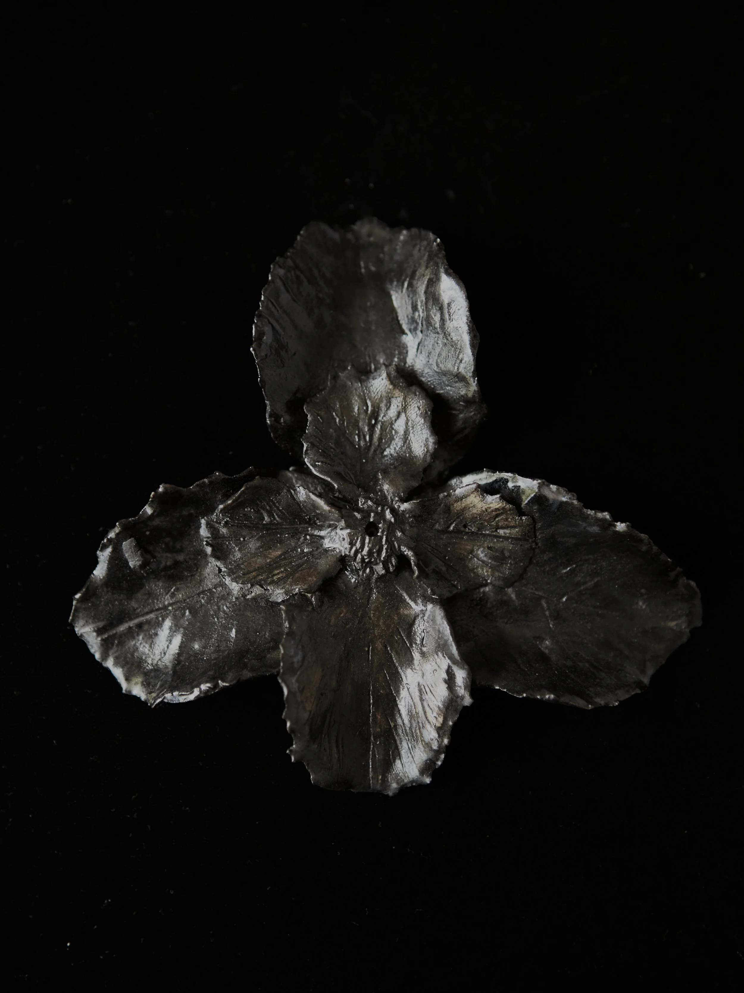 Mud-Bunny-Ceramic- 133_254.jpg